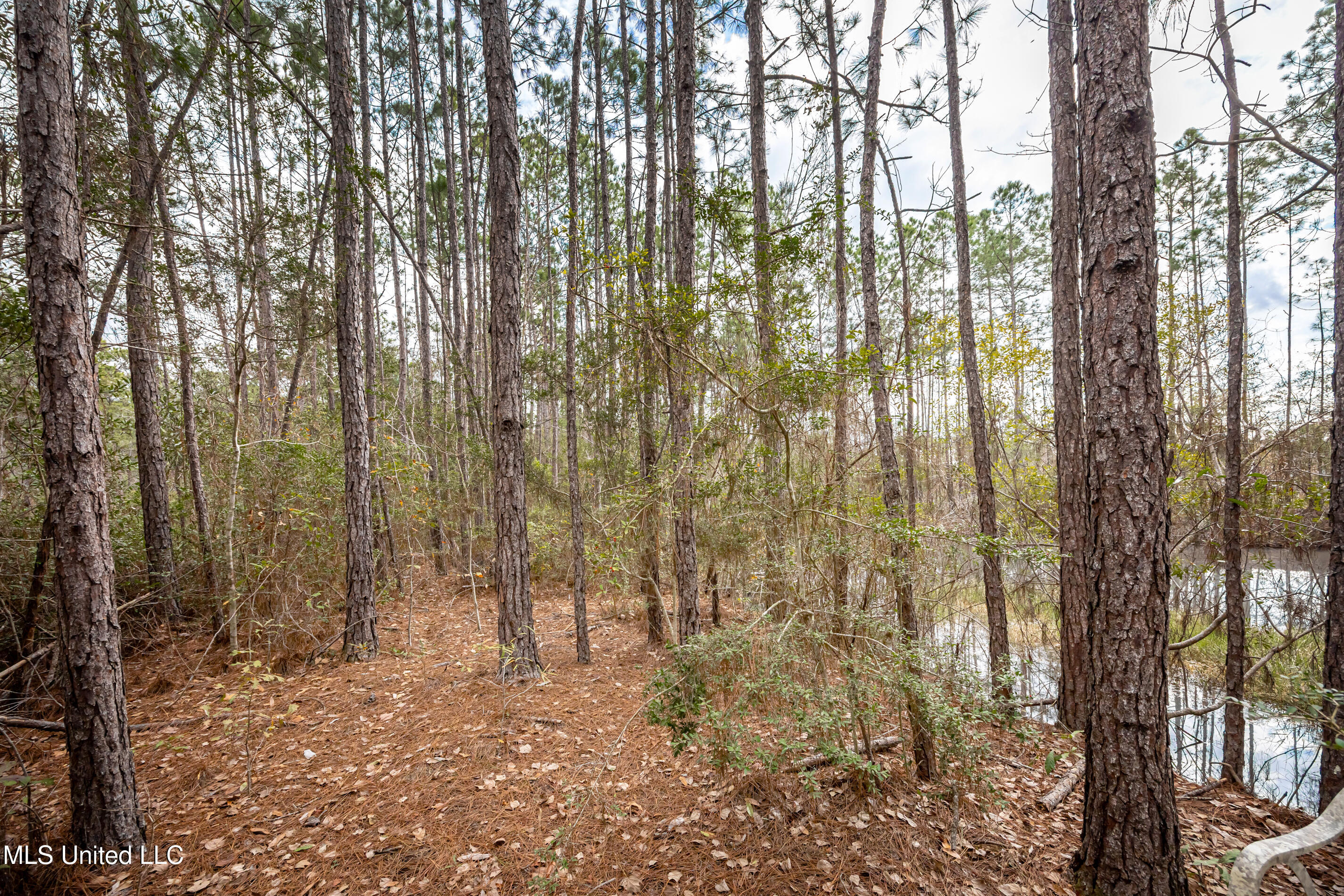 13162 Hudson Krohn Road Property Photo 51