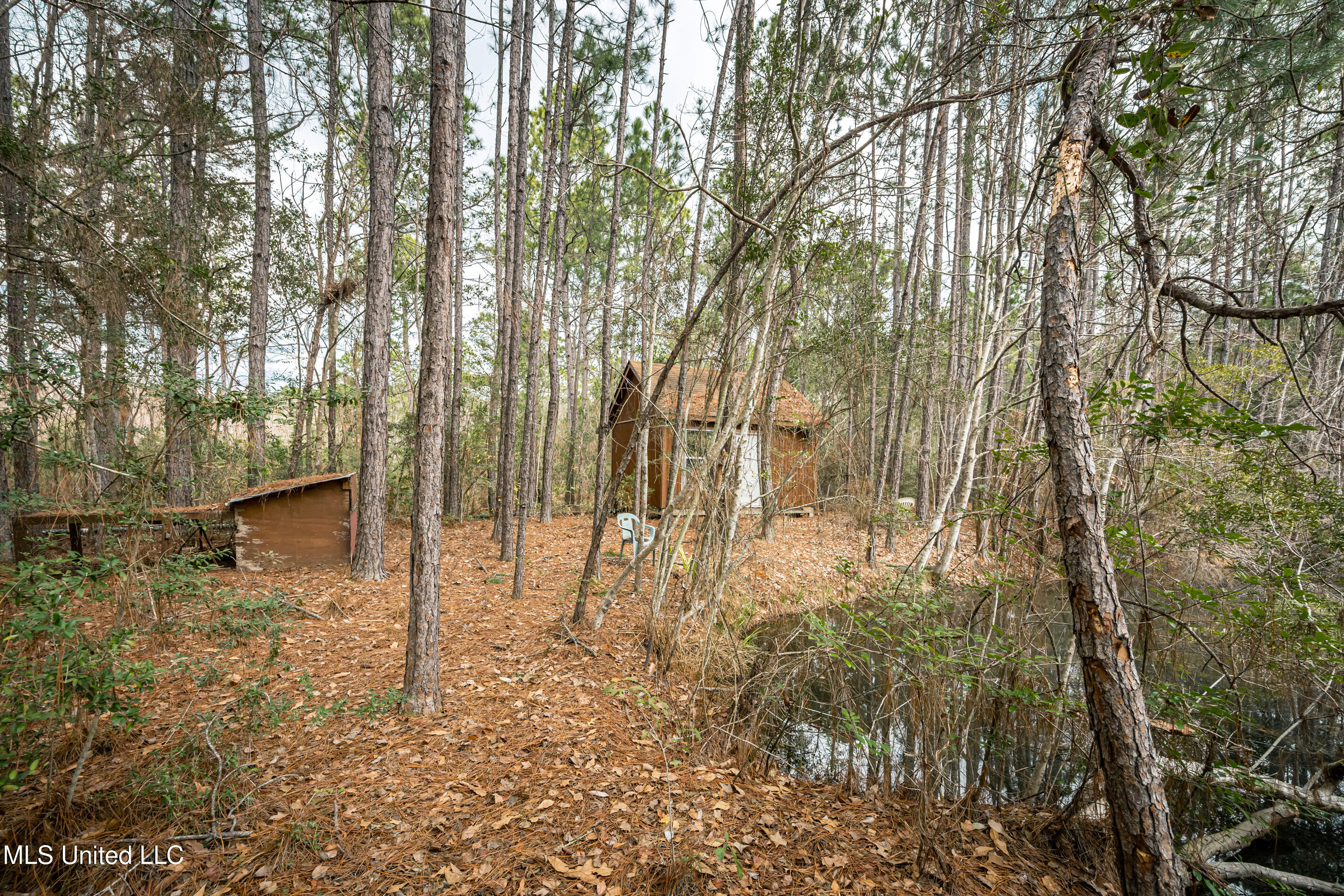 13162 Hudson Krohn Road Property Photo 56