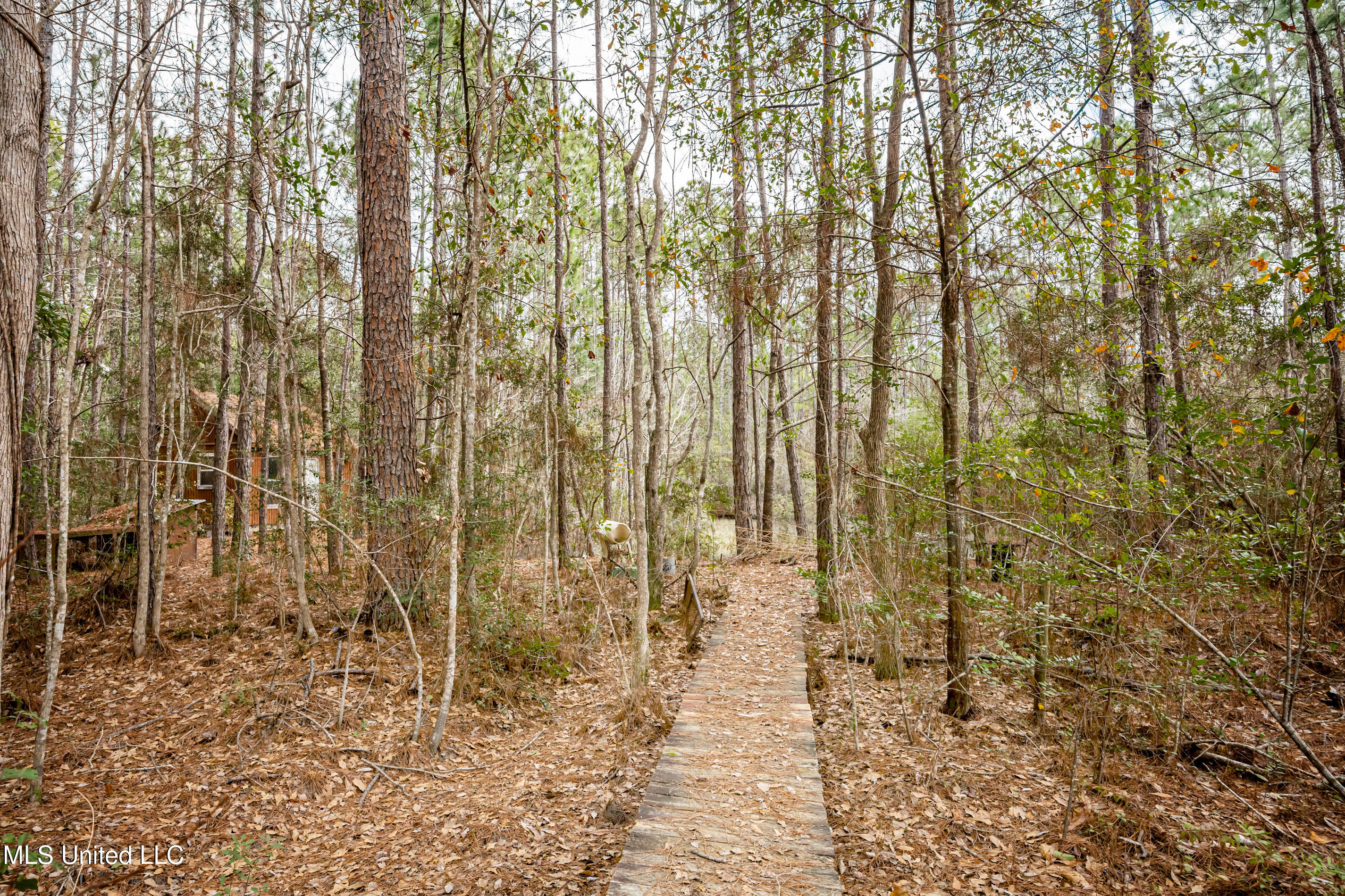 13162 Hudson Krohn Road Property Photo 57