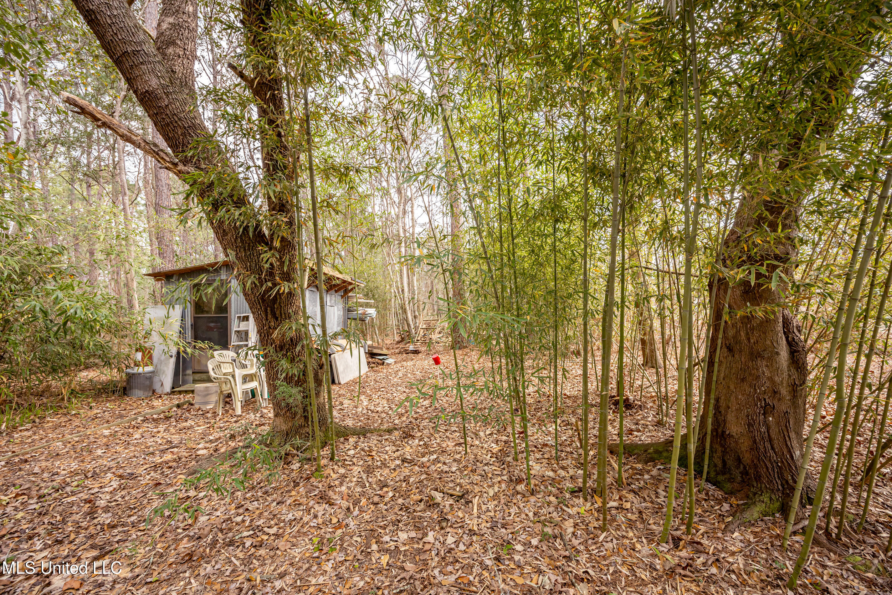 13162 Hudson Krohn Road Property Photo 61