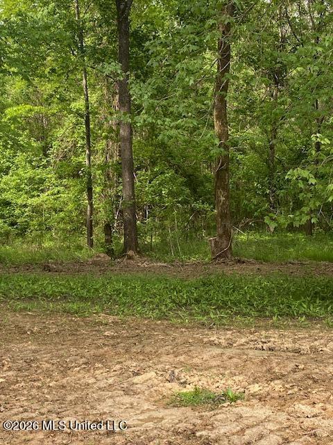 2085 Prichard Road Property Photo 3