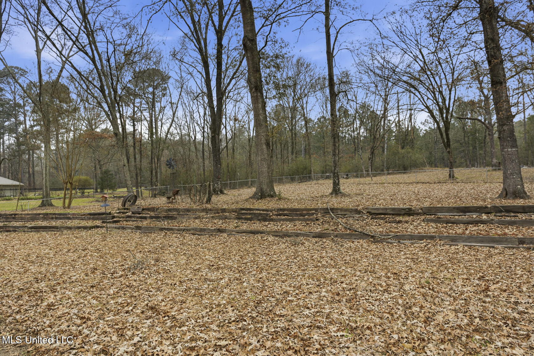 420 Shadow Lake Cove Property Photo 11