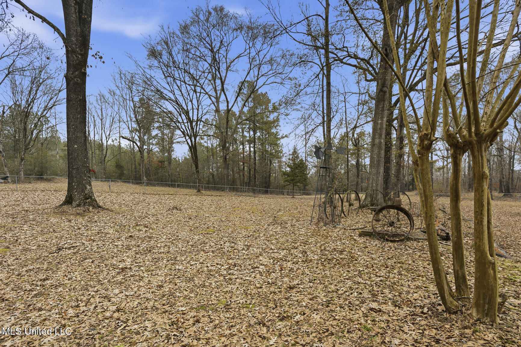 420 Shadow Lake Cove Property Photo 13