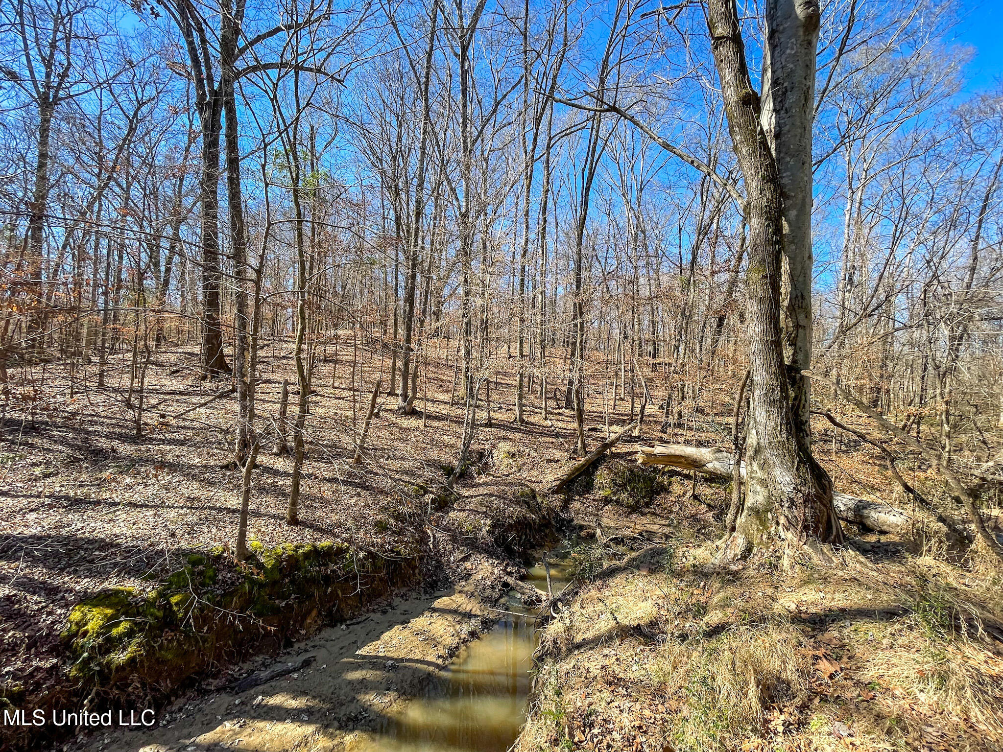 001 Robinson Springs Road Property Photo 1