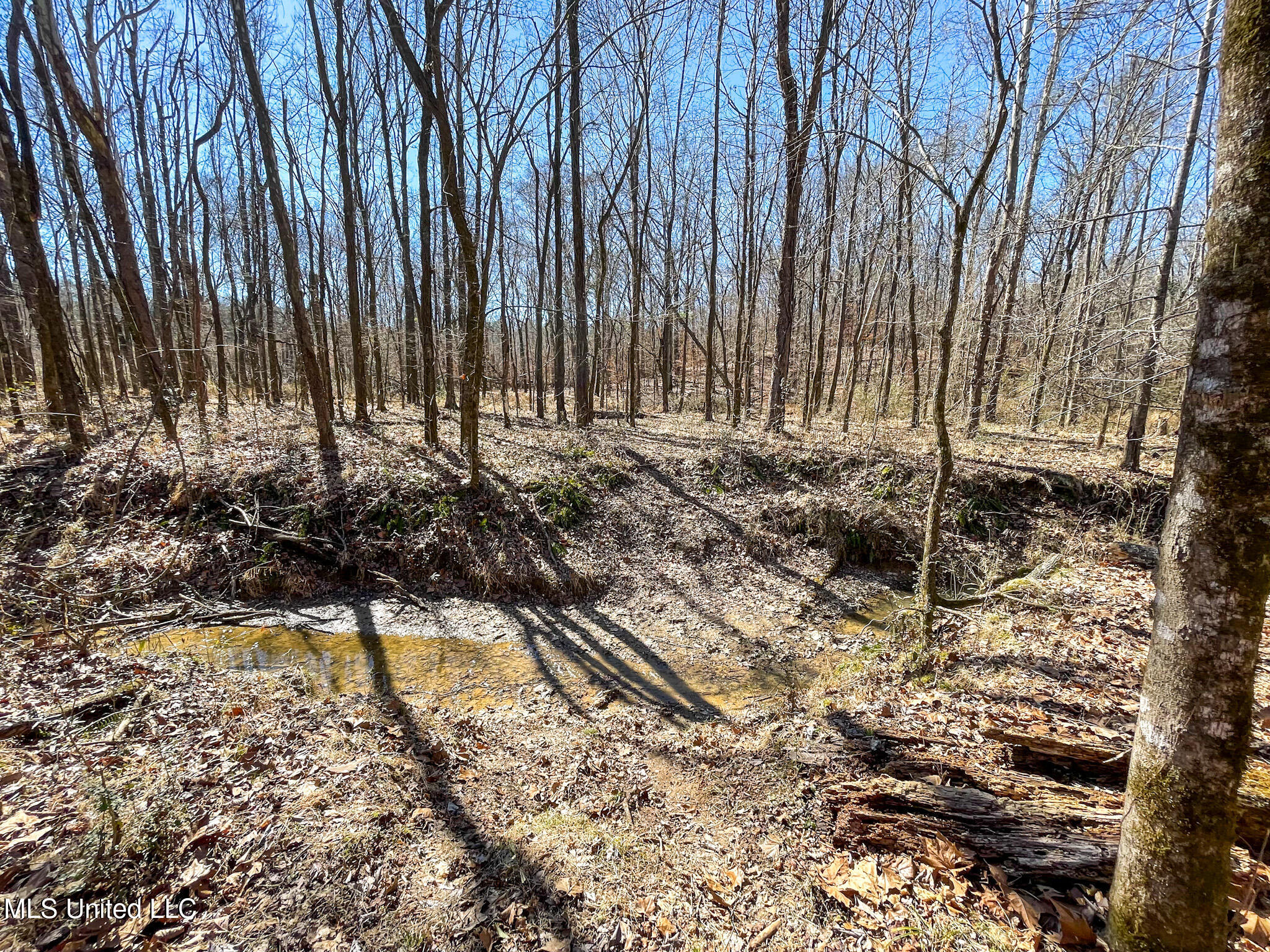 001 Robinson Springs Road Property Photo 3
