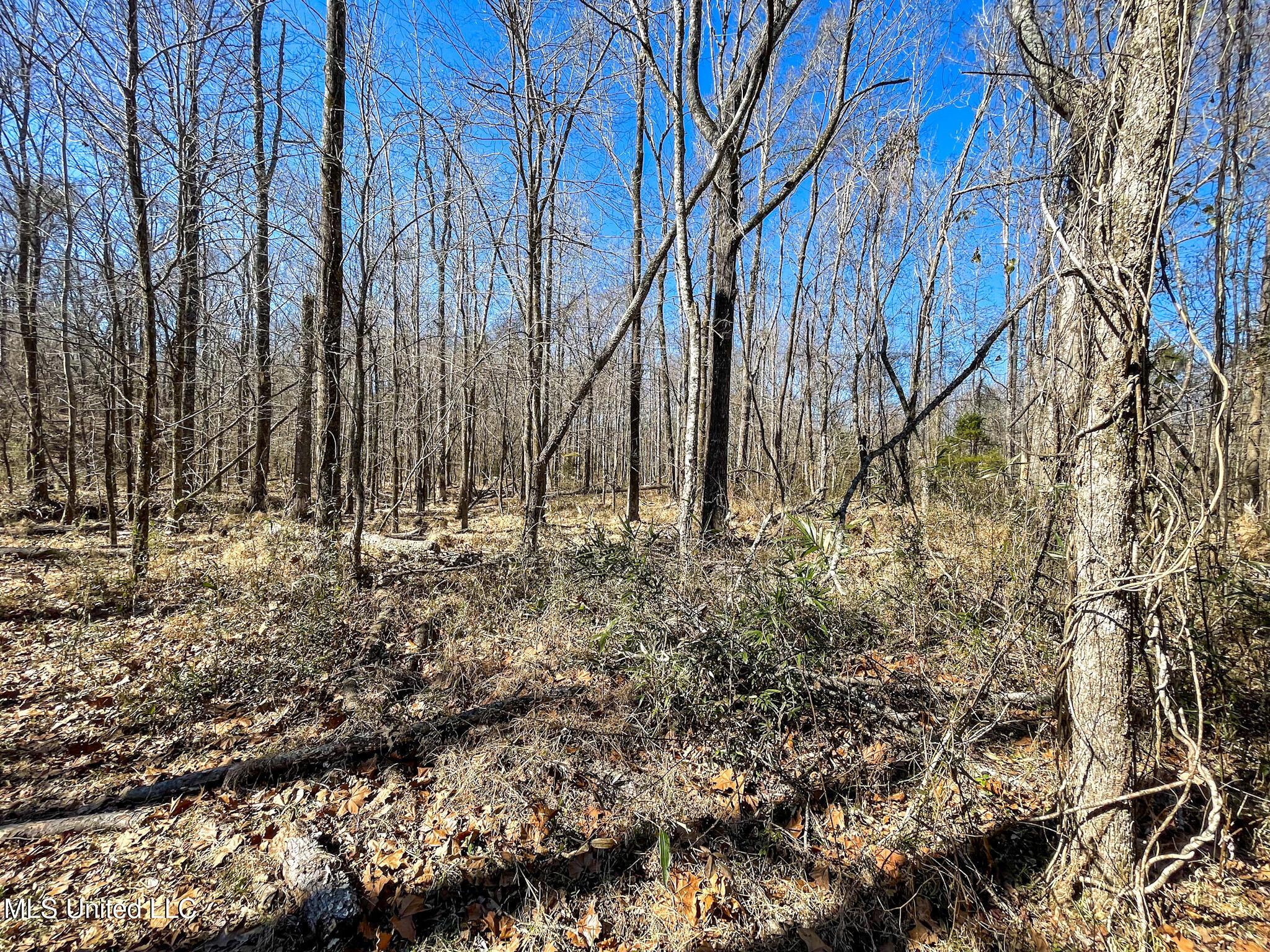 001 Robinson Springs Road Property Photo 5