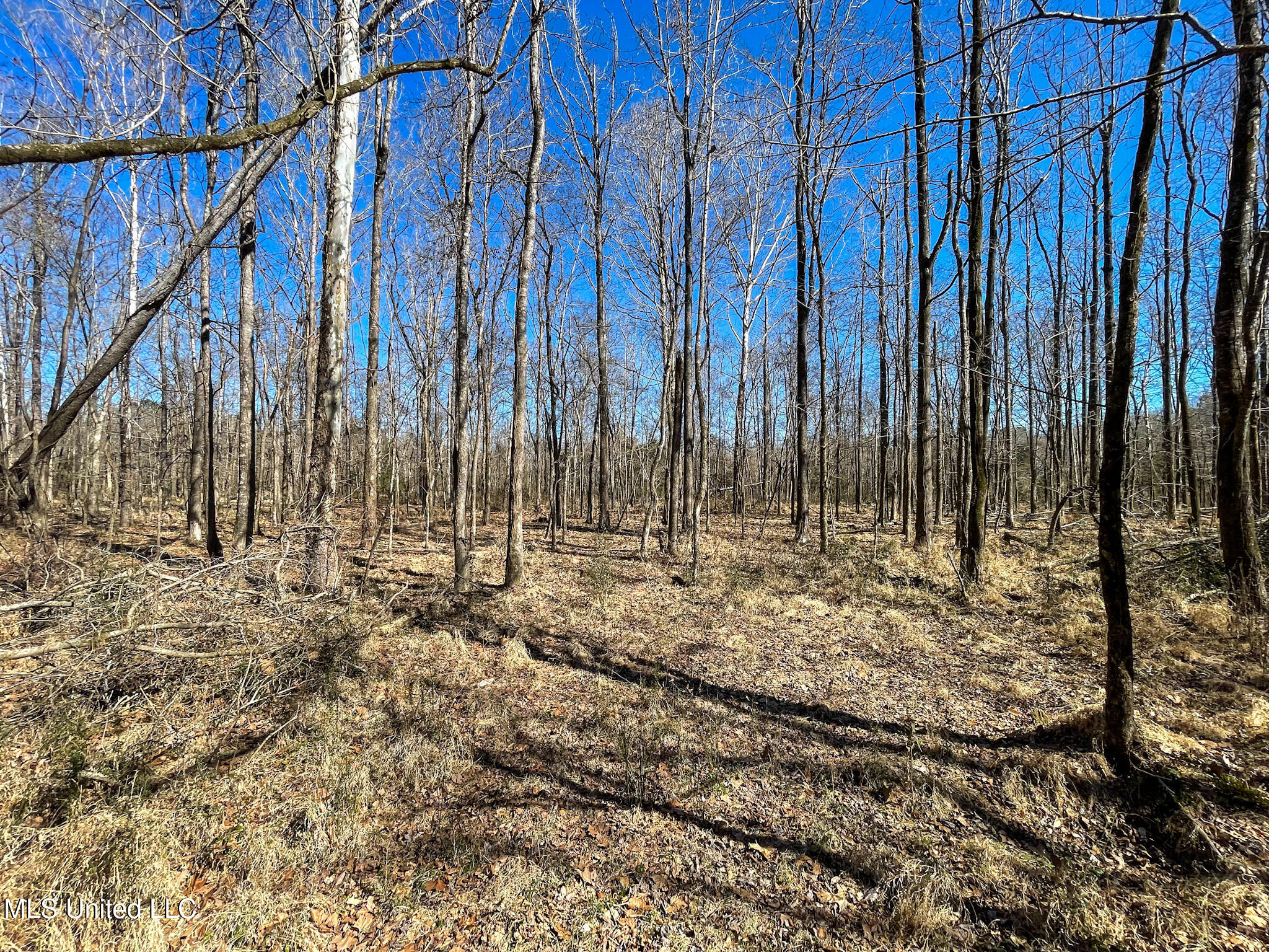 001 Robinson Springs Road Property Photo 6