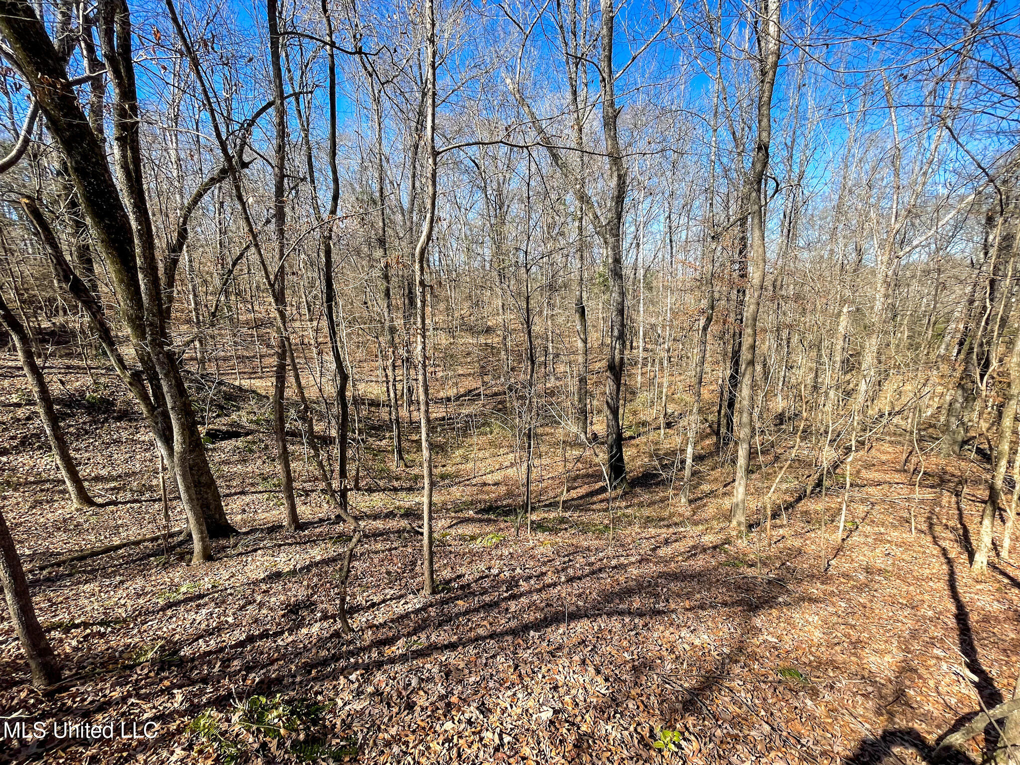 001 Robinson Springs Road Property Photo 8