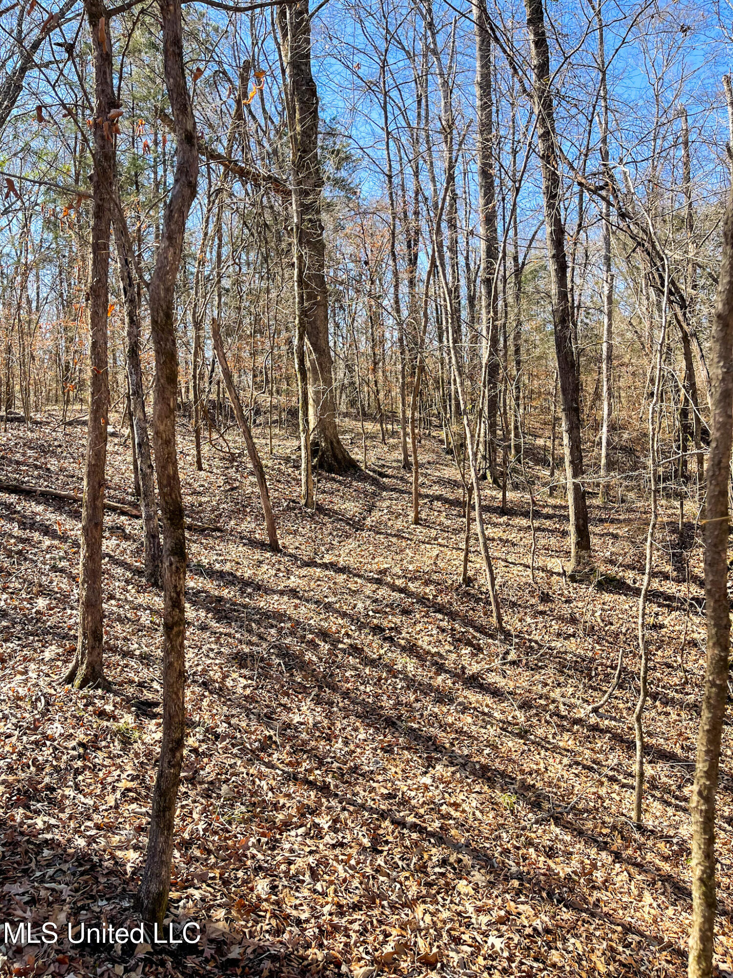 001 Robinson Springs Road Property Photo 9