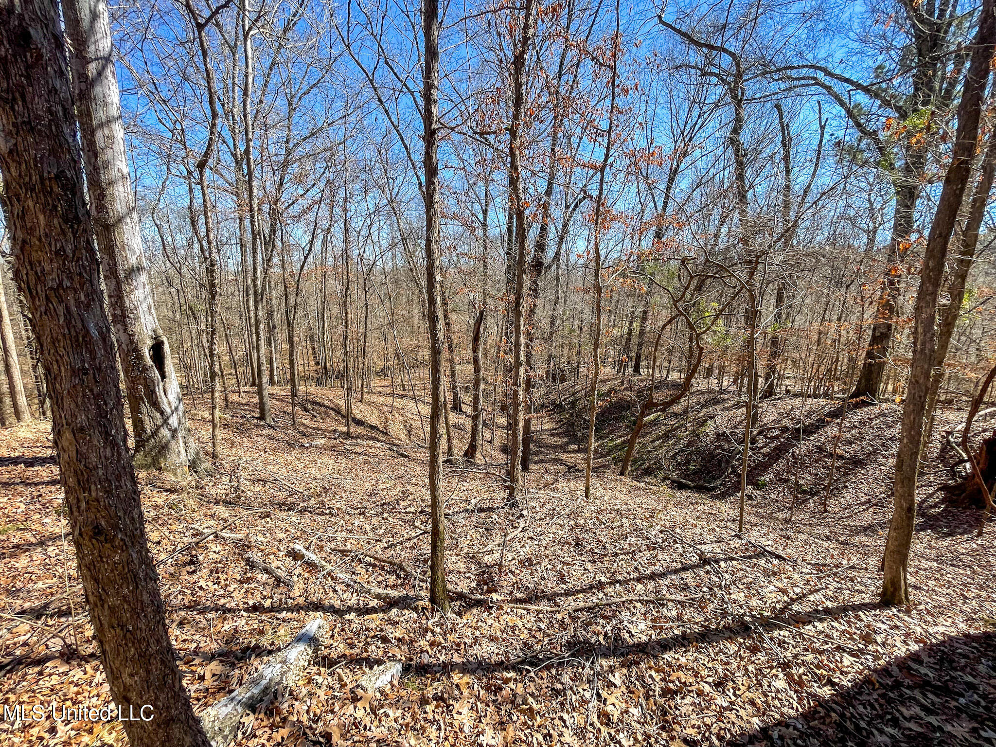 001 Robinson Springs Road Property Photo 10