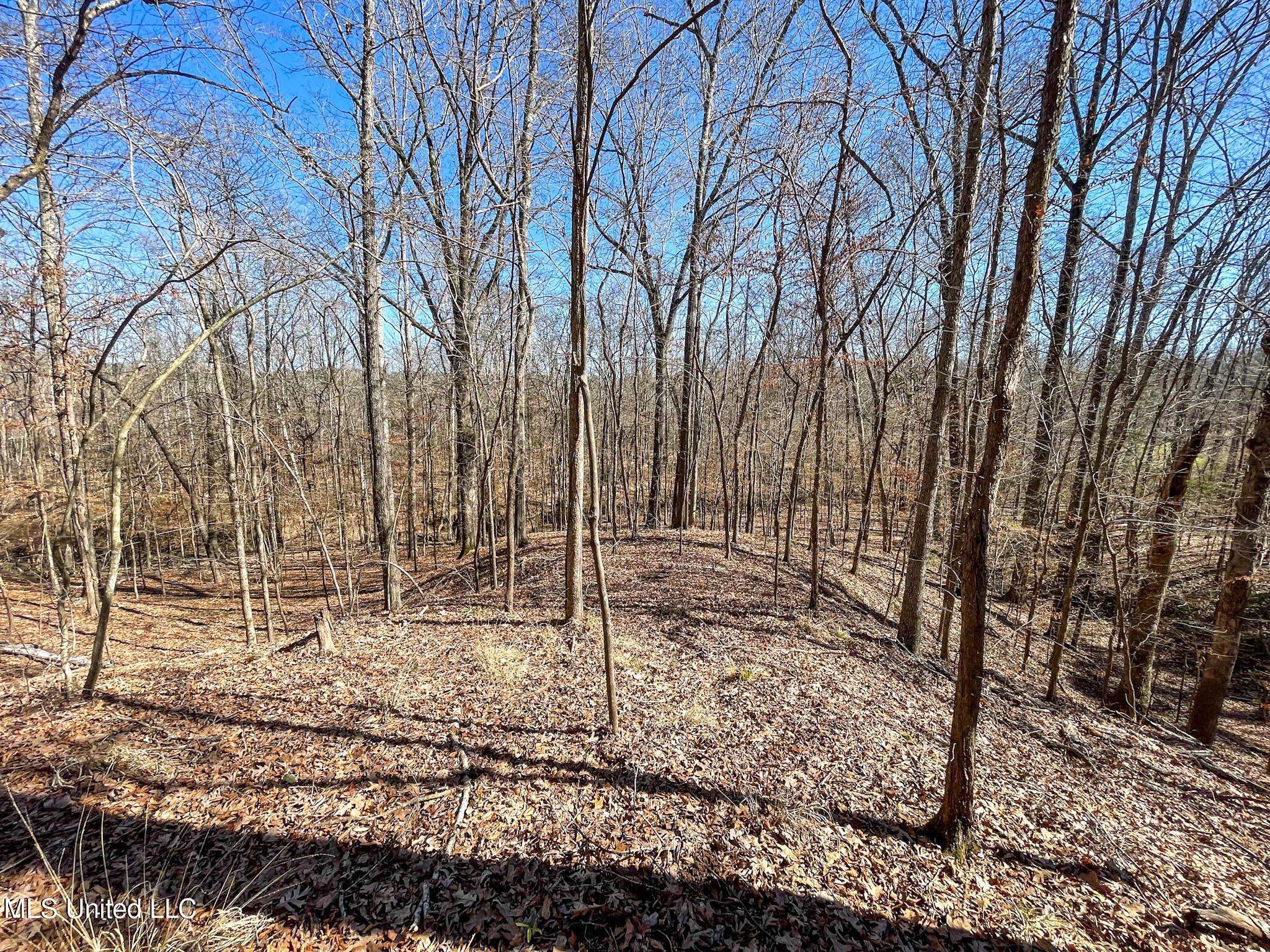 001 Robinson Springs Road Property Photo 11