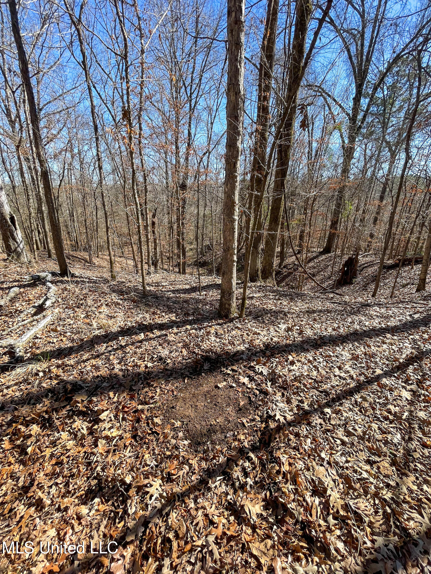 001 Robinson Springs Road Property Photo 12