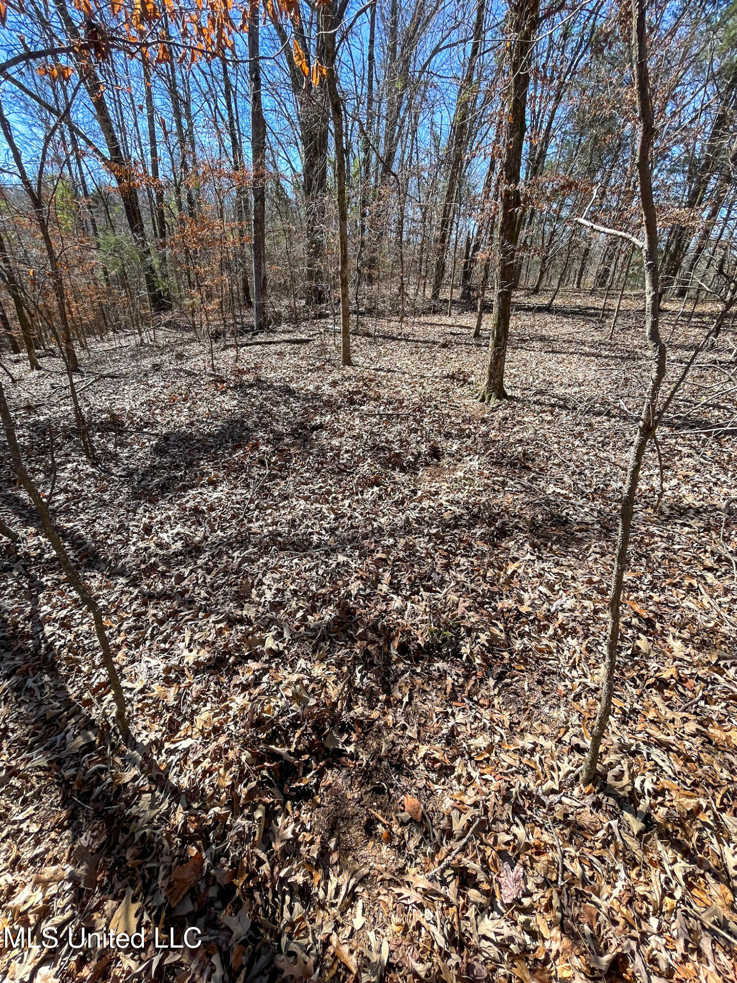 001 Robinson Springs Road Property Photo 13