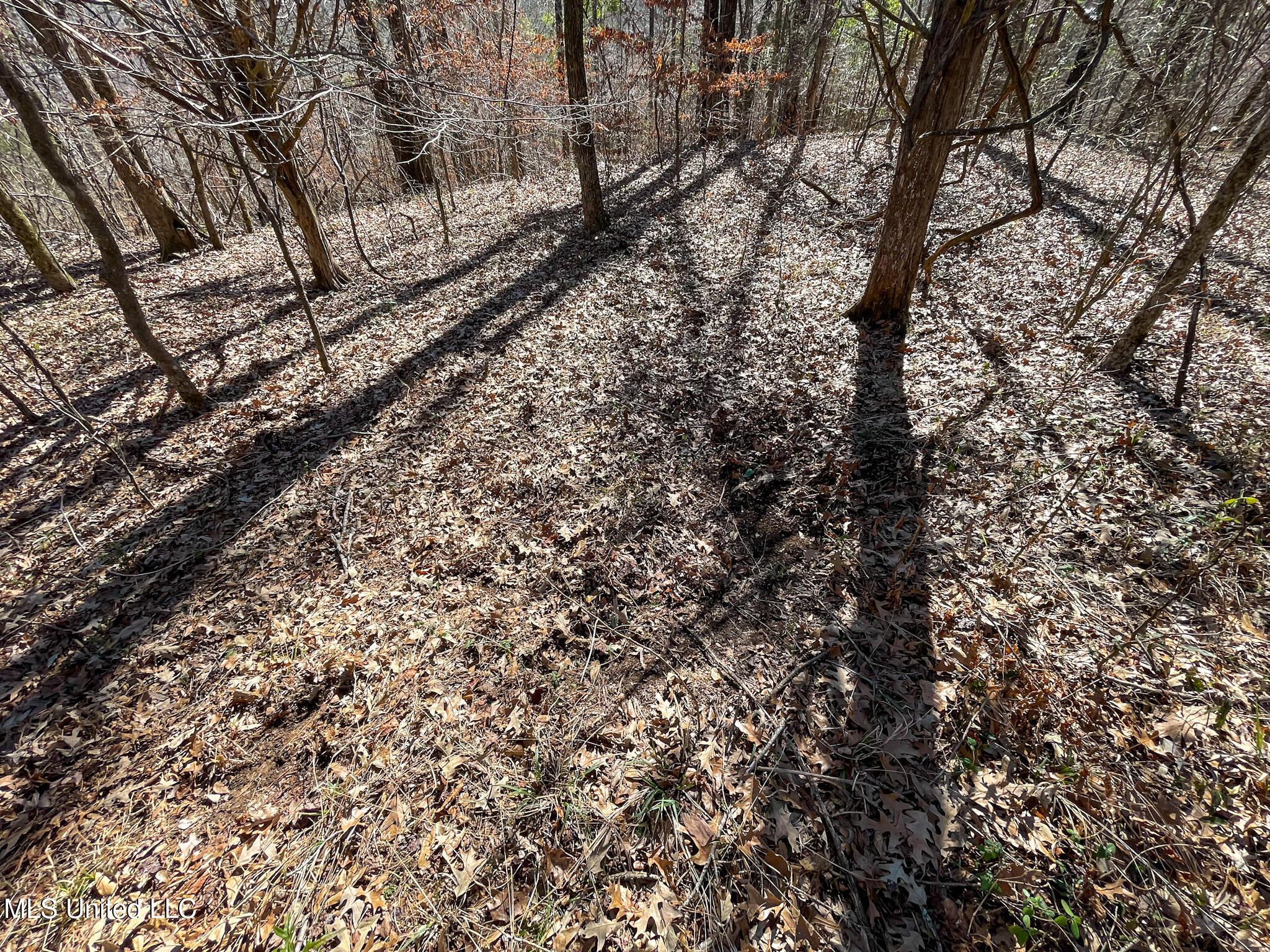 001 Robinson Springs Road Property Photo 14