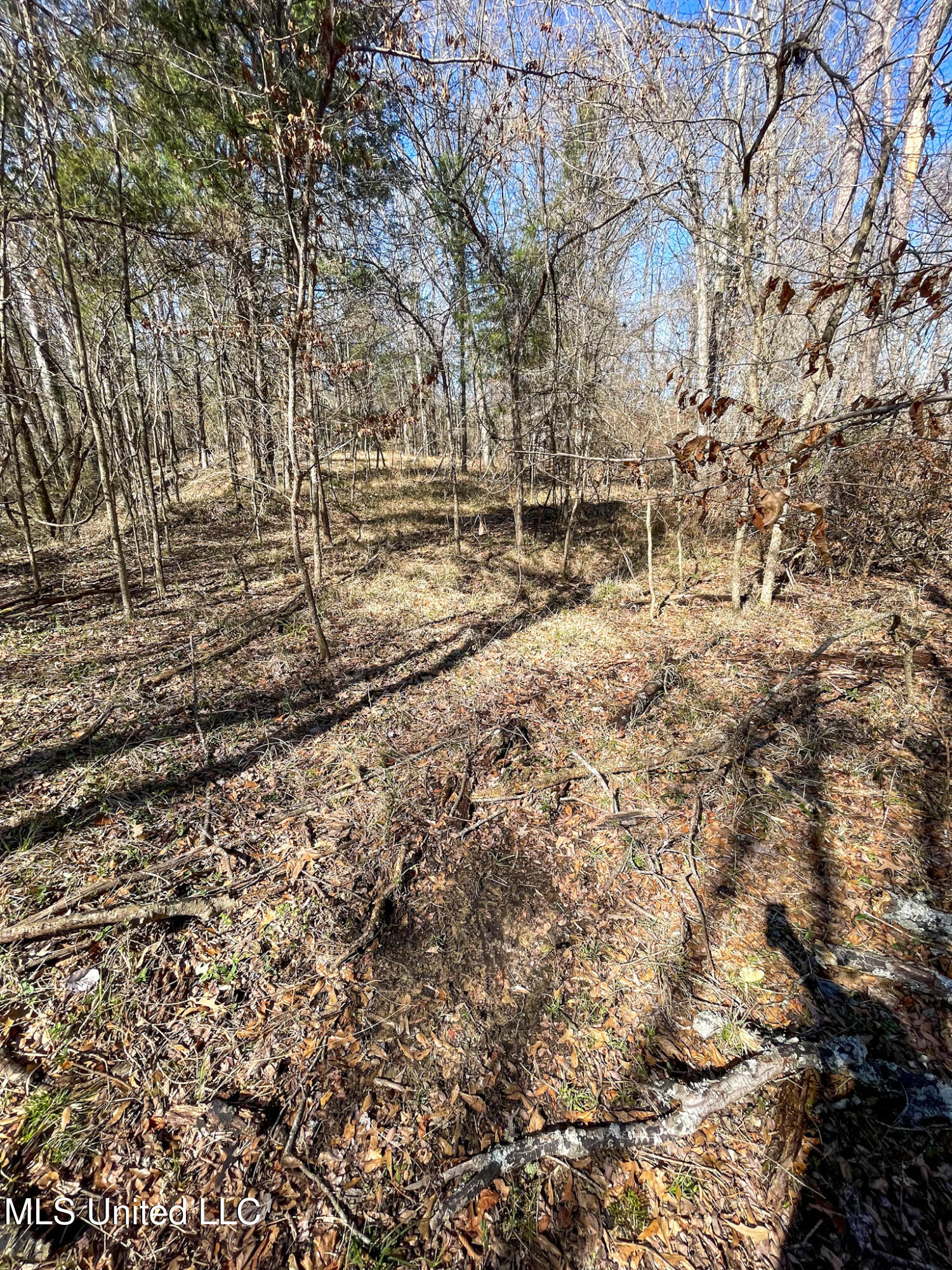 001 Robinson Springs Road Property Photo 15