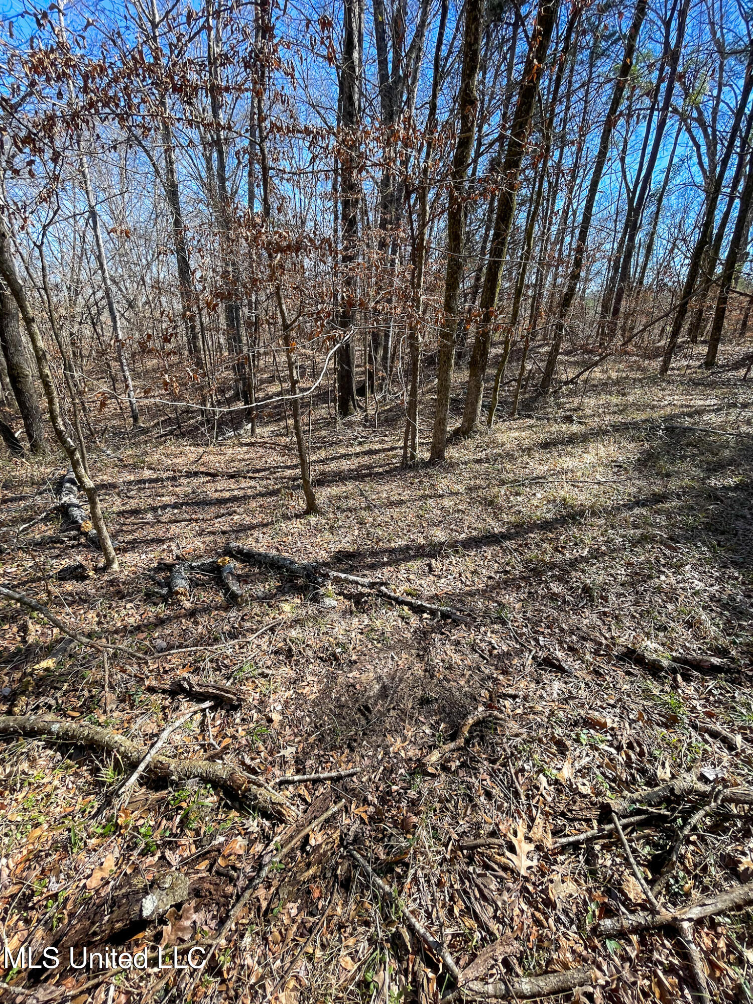001 Robinson Springs Road Property Photo 16
