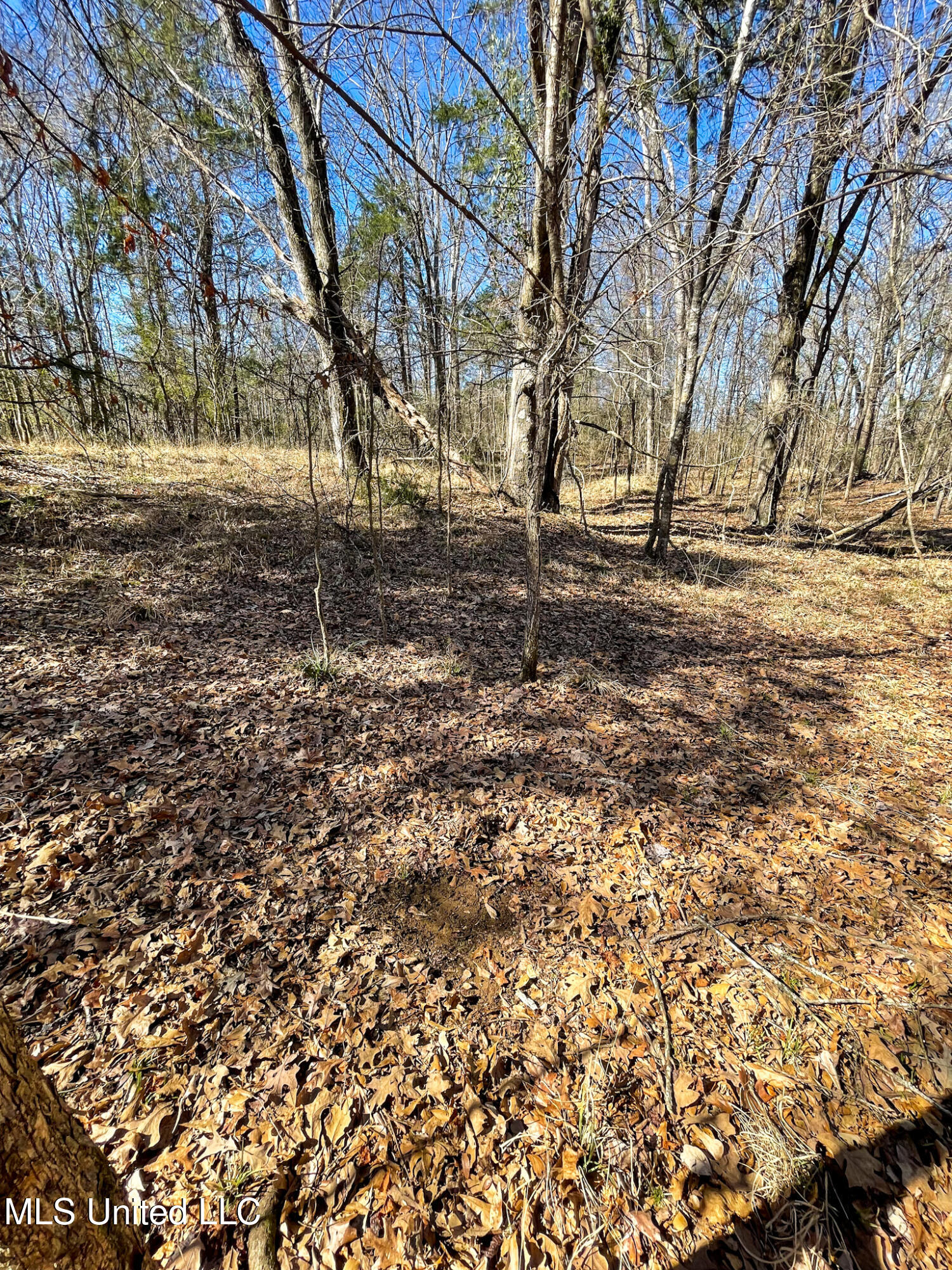 001 Robinson Springs Road Property Photo 17