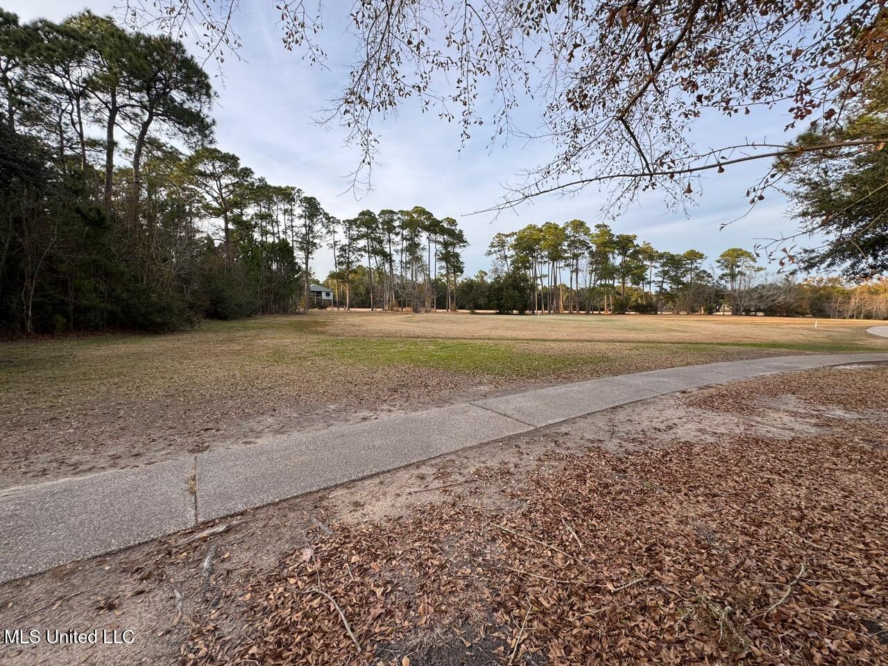 133 Poinsetta Loop Property Photo 75