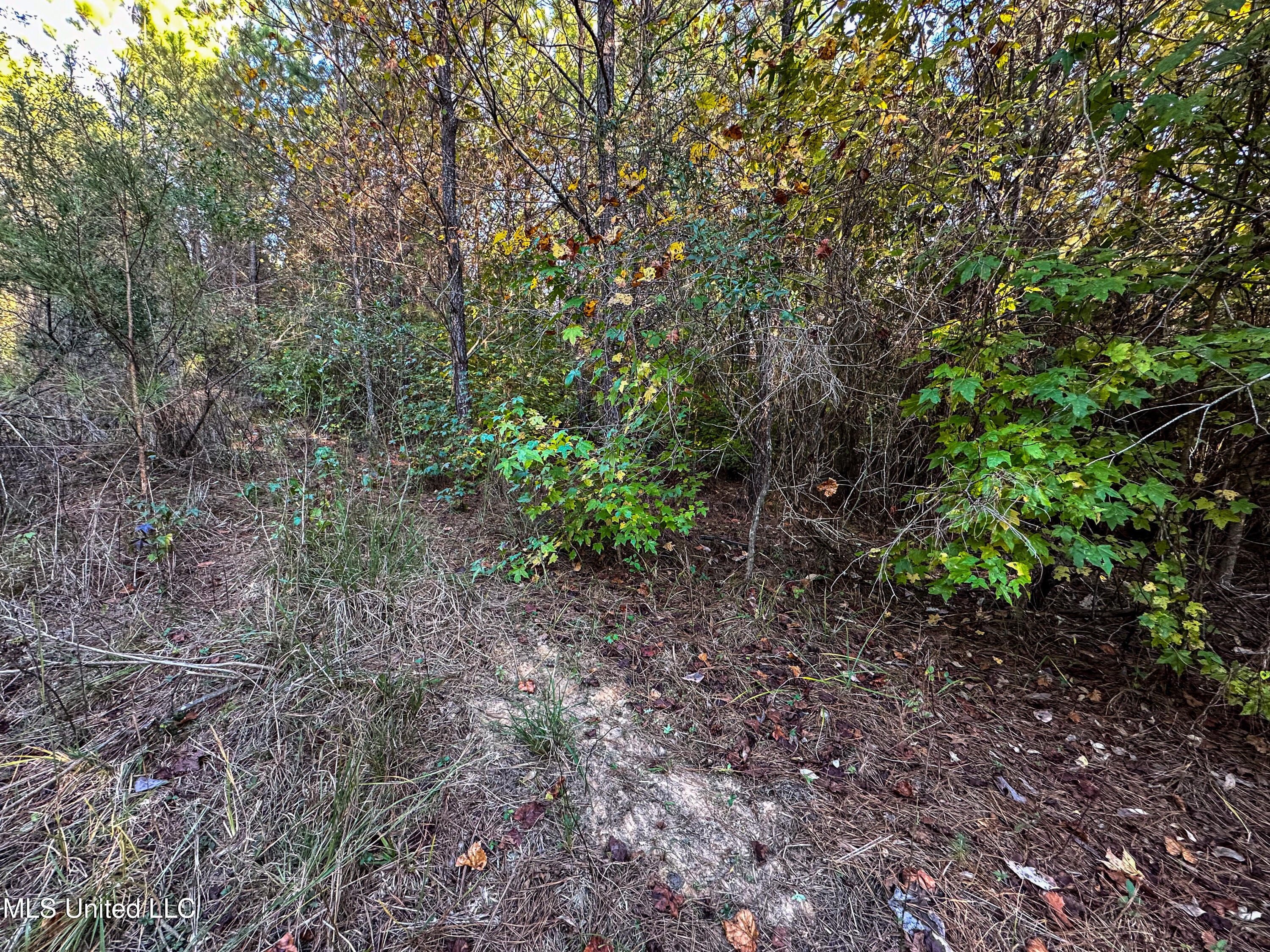 01 County Road 107 Property Photo 29