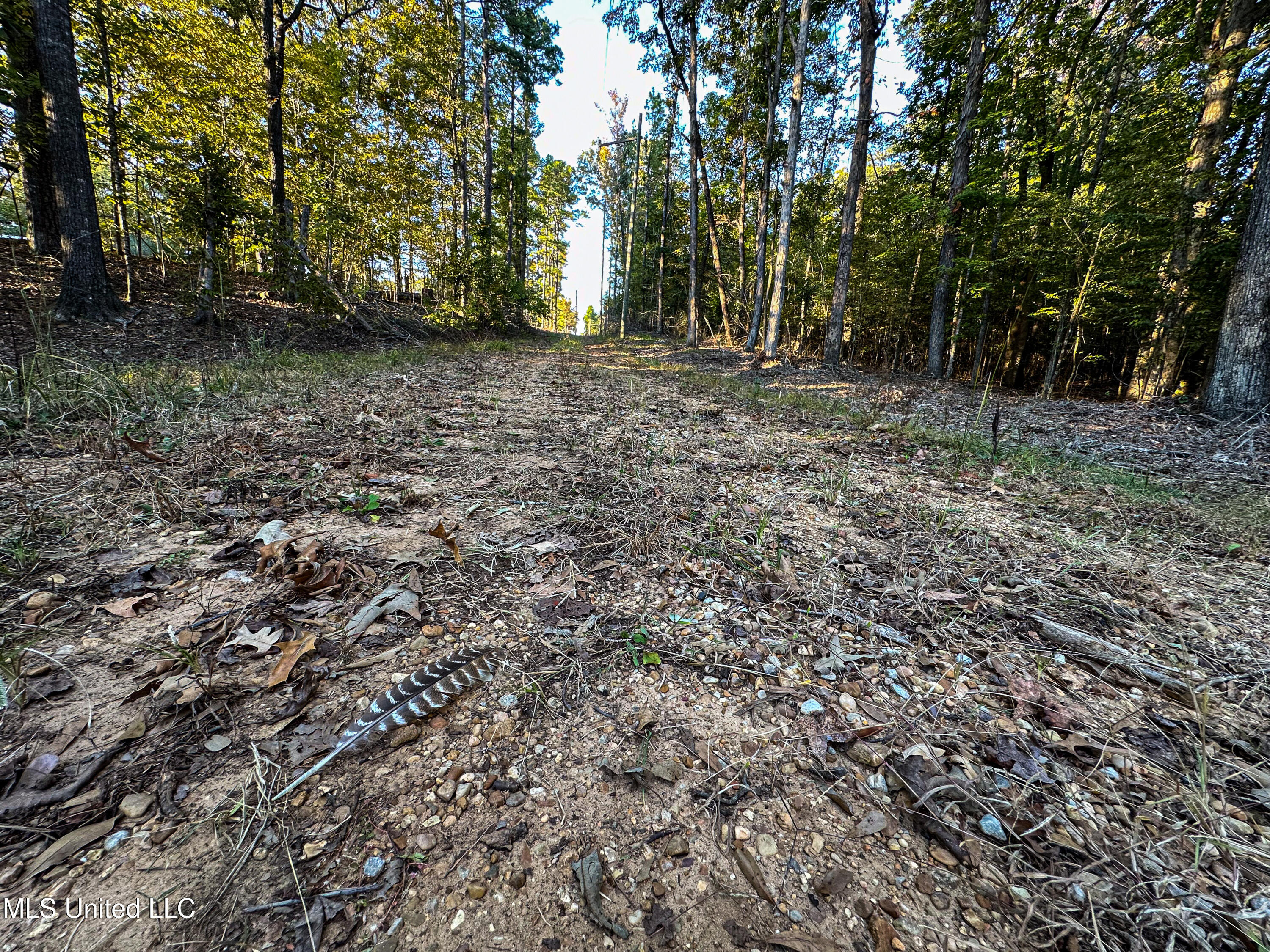 01 County Road 107 Property Photo 41