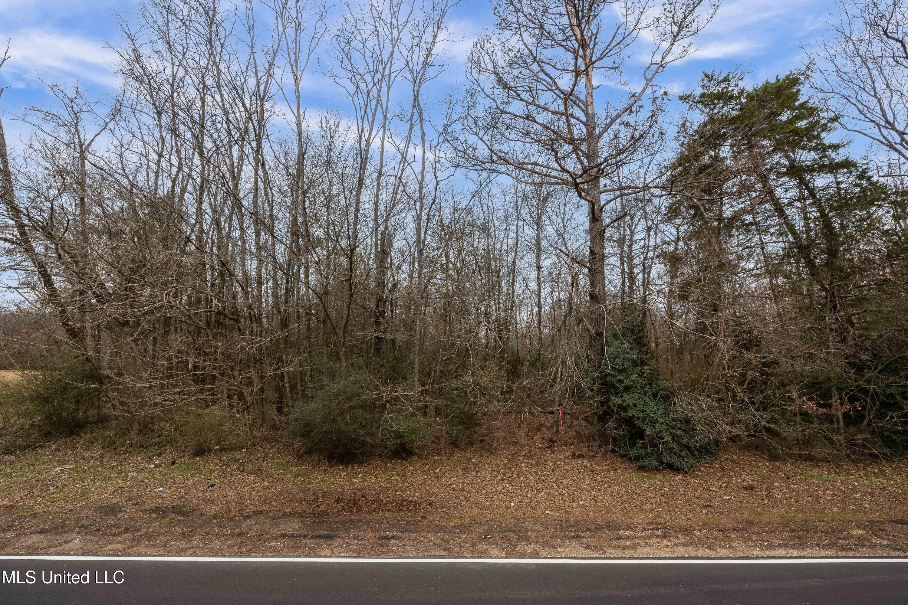 0000 Halls Ferry Road Property Photo 1