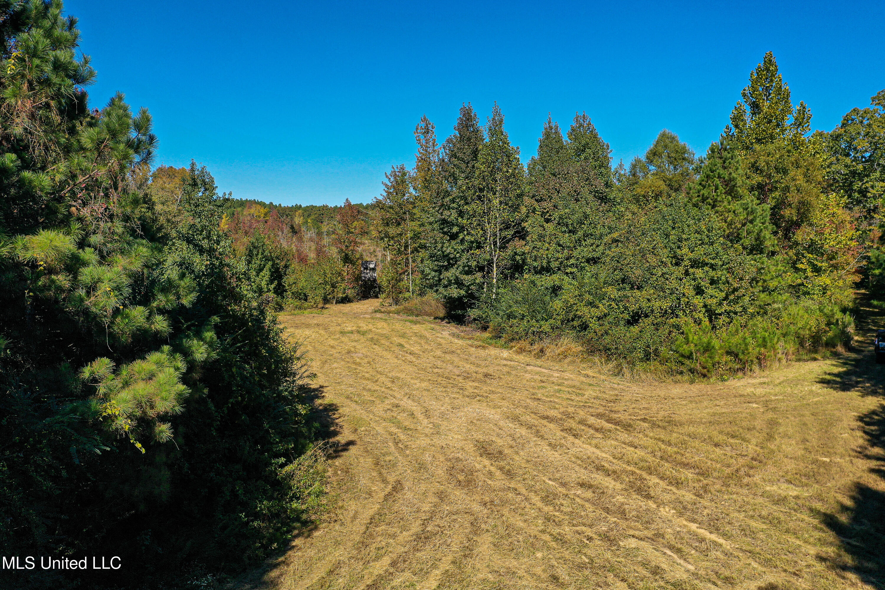 01 Mississippi 331 Property Photo 7