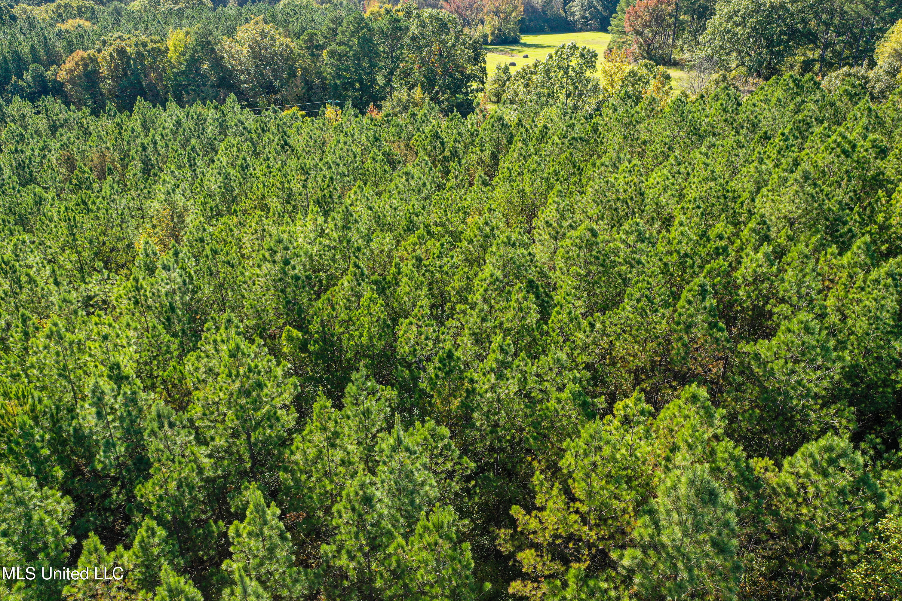 01 Mississippi 331 Property Photo 38