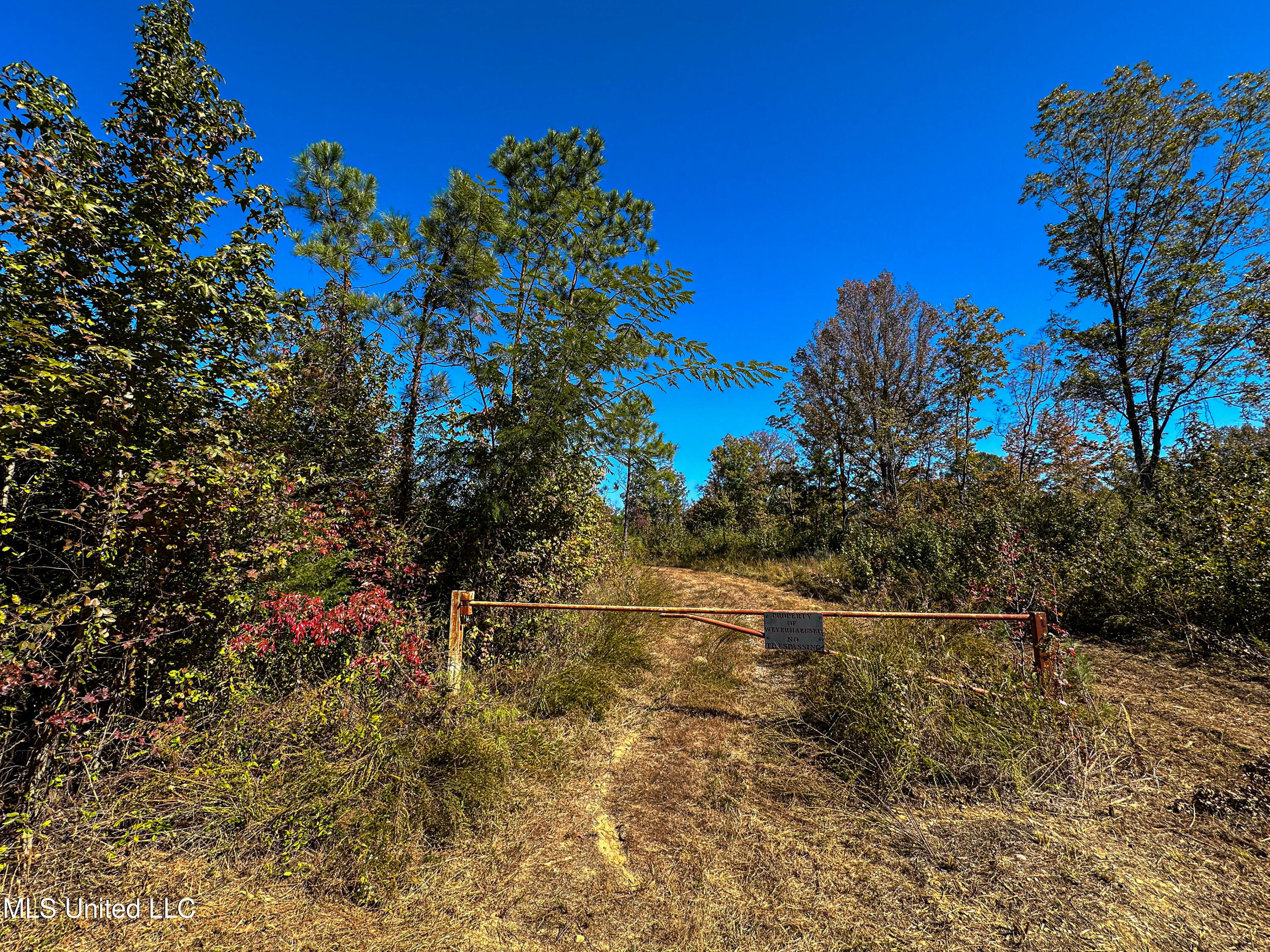 01 Mississippi 331 Property Photo 44