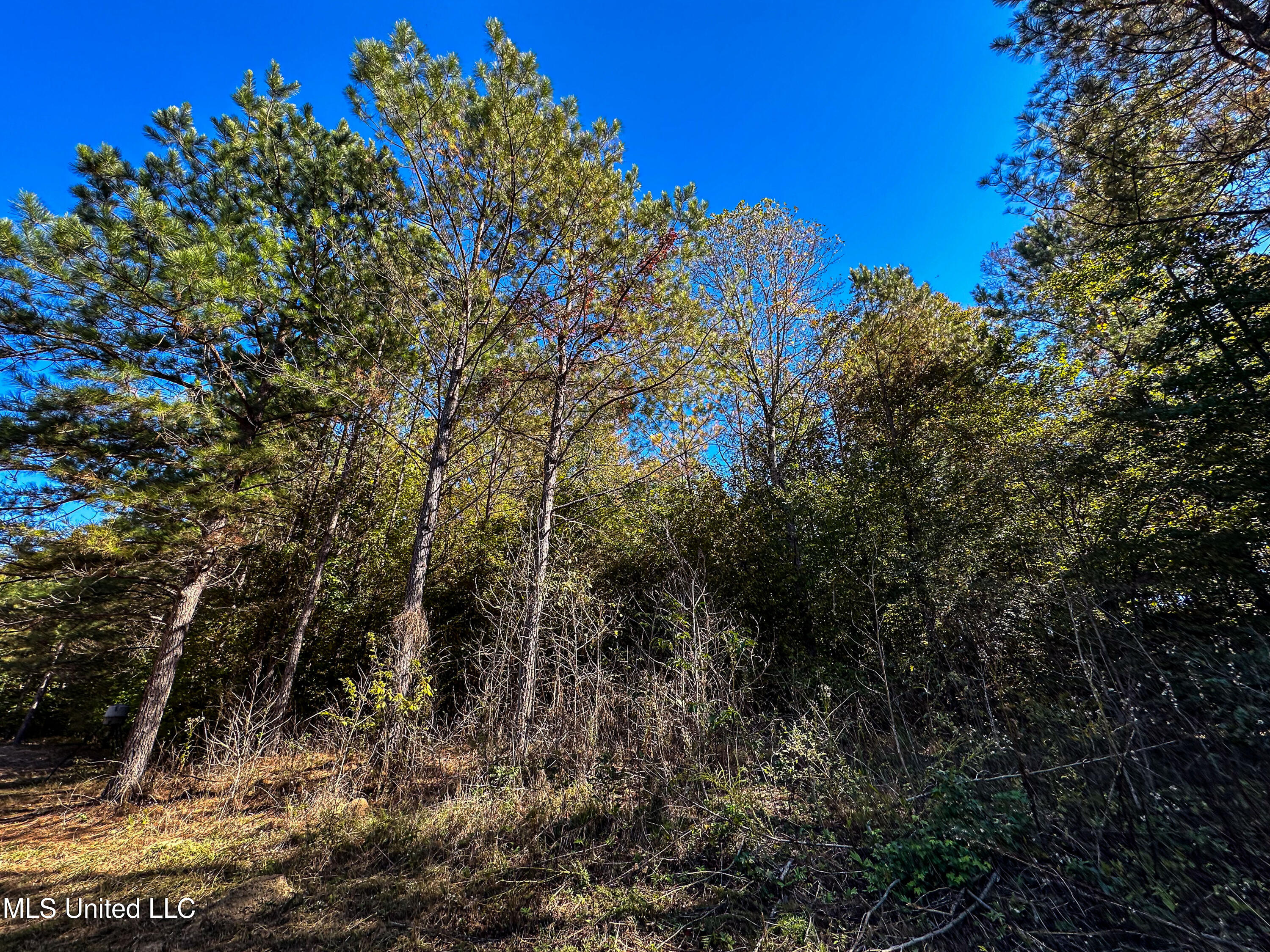 01 Mississippi 331 Property Photo 46