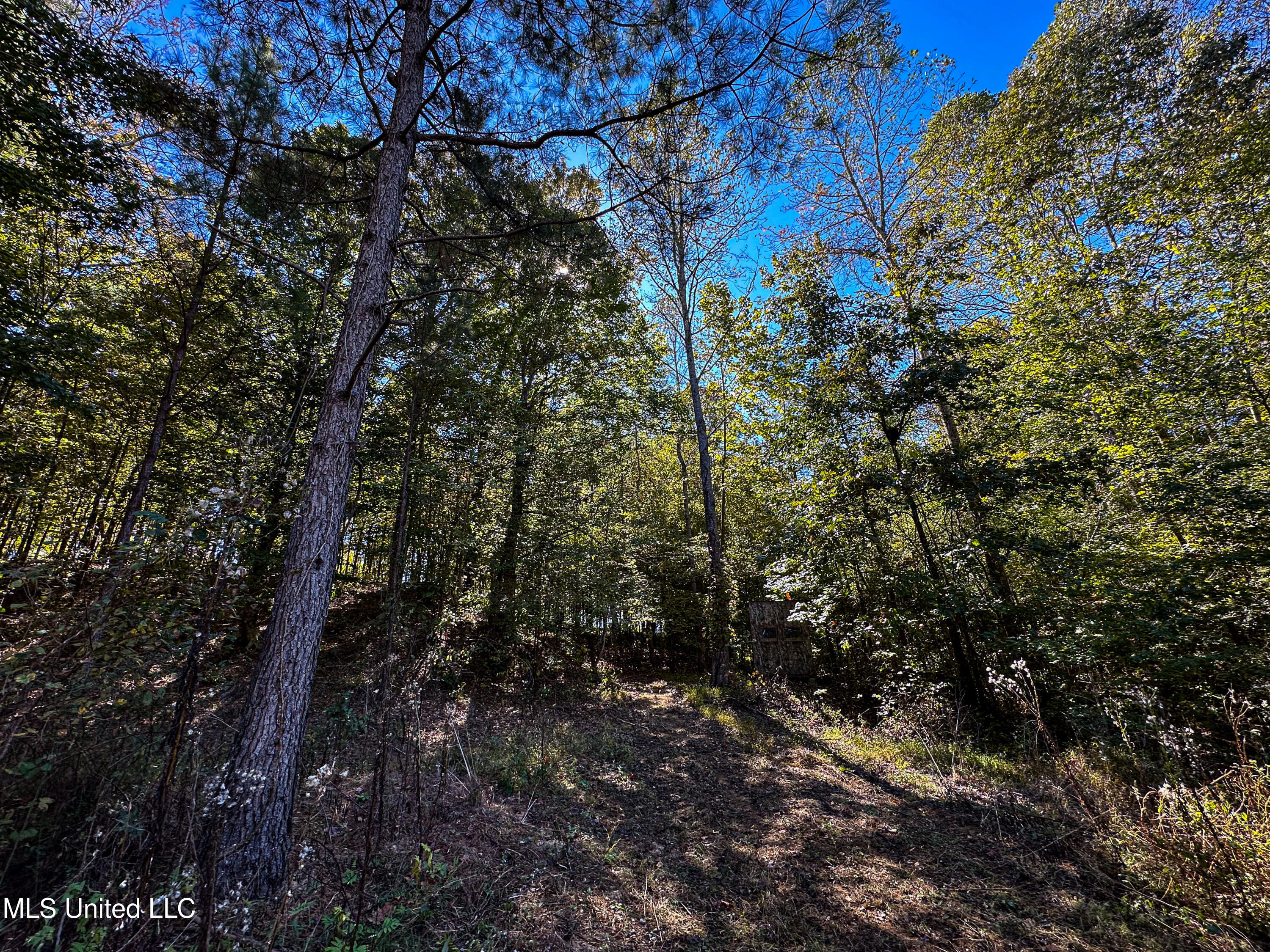 01 Mississippi 331 Property Photo 47