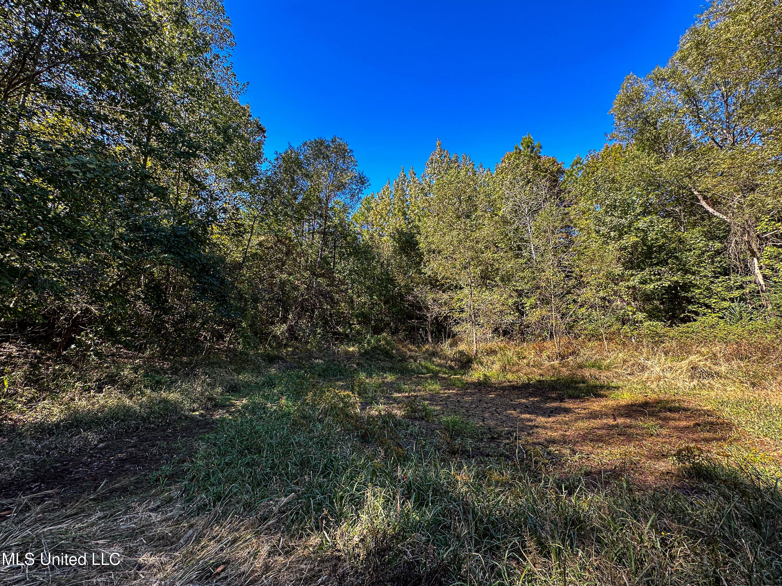 01 Mississippi 331 Property Photo 48