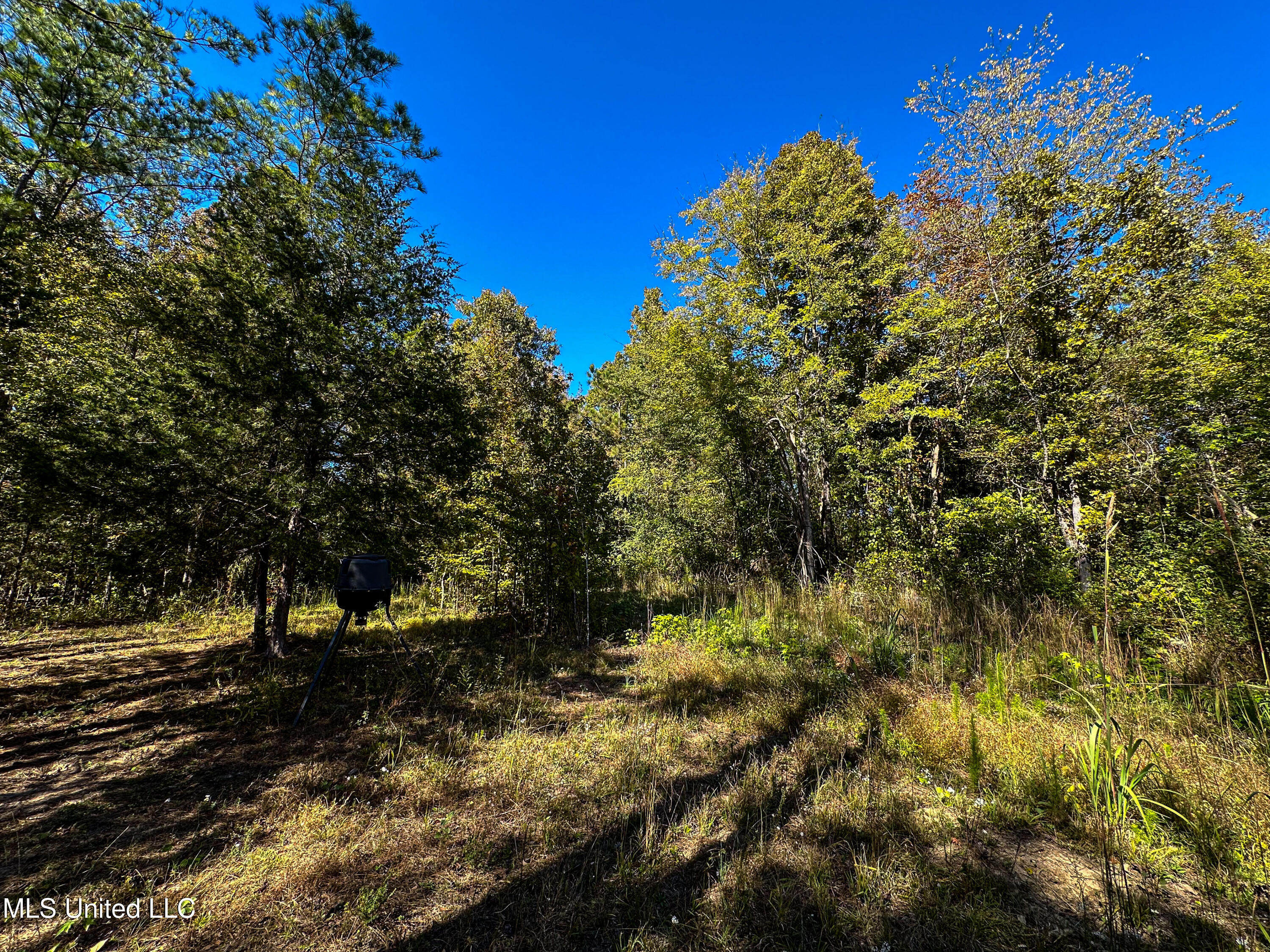 01 Mississippi 331 Property Photo 56