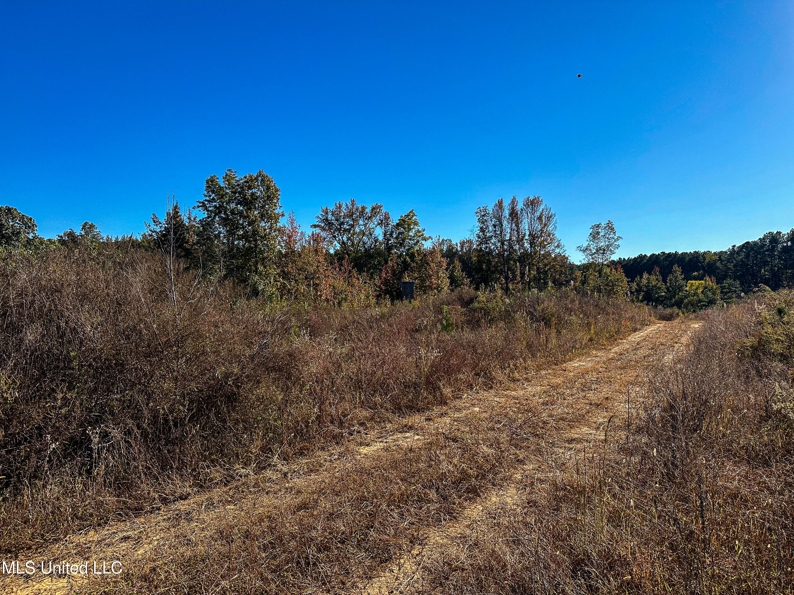 01 Mississippi 331 Property Photo 71