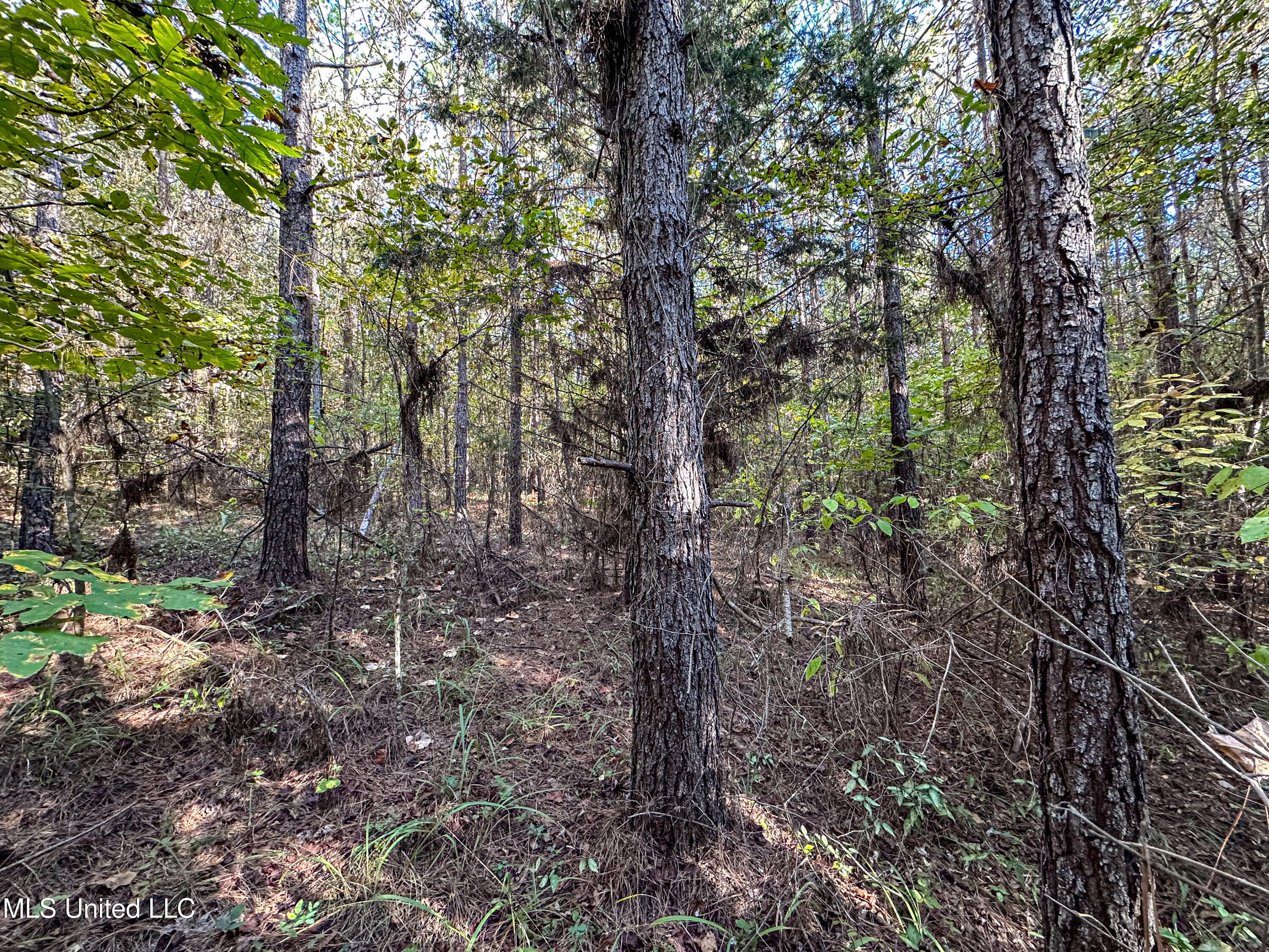 01 Mississippi 331 Property Photo 74