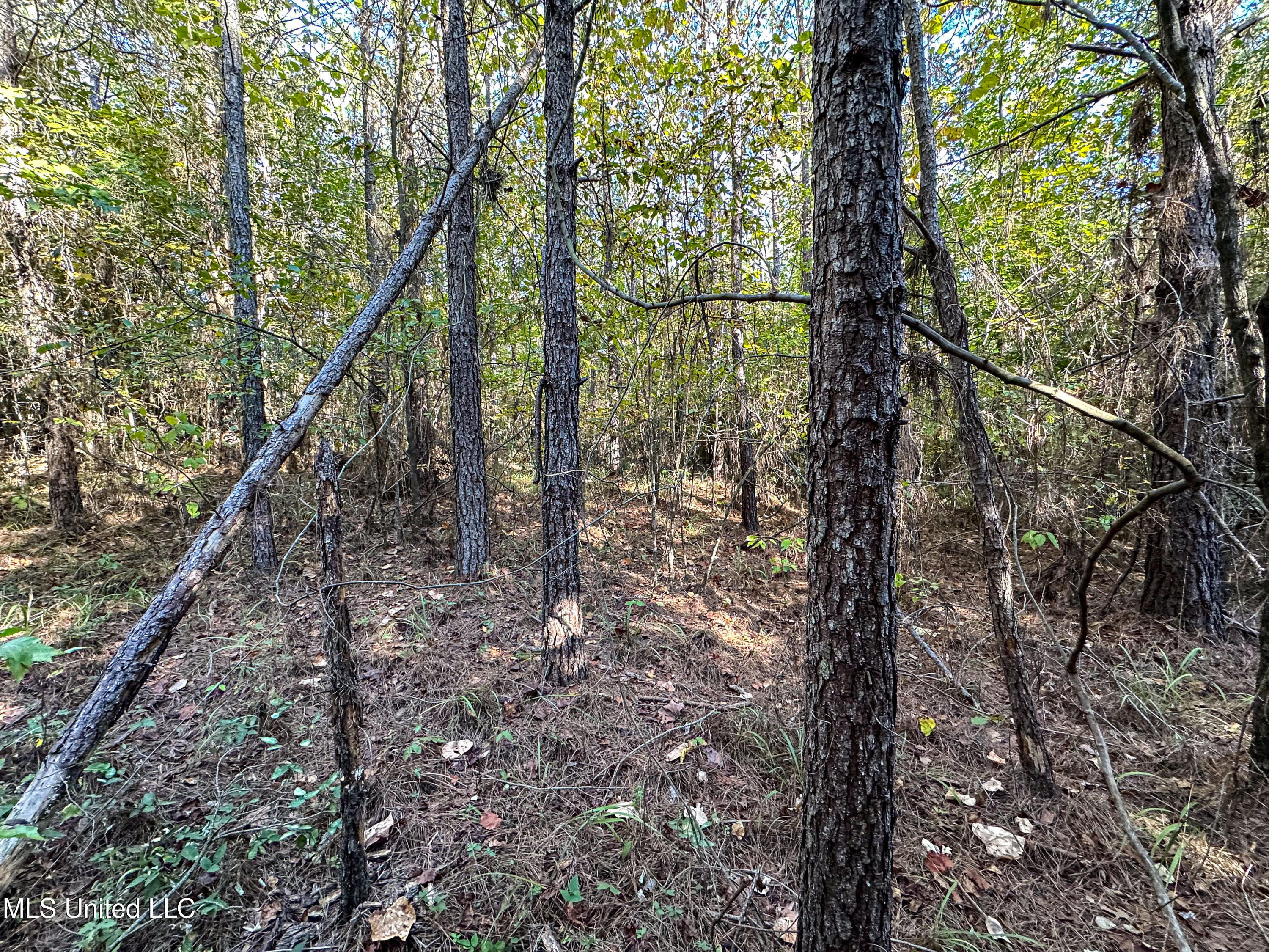 01 Mississippi 331 Property Photo 75