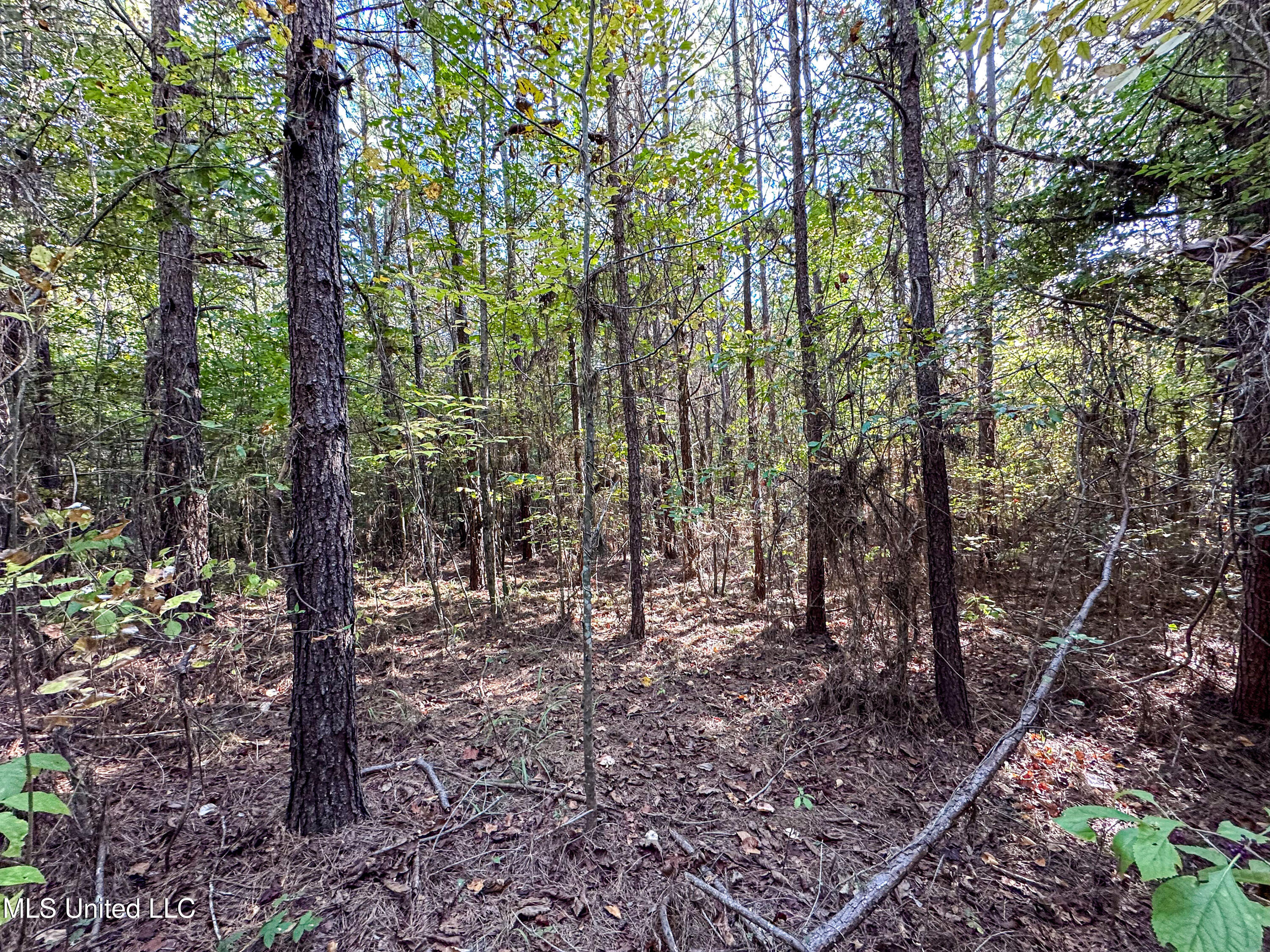 01 Mississippi 331 Property Photo 76