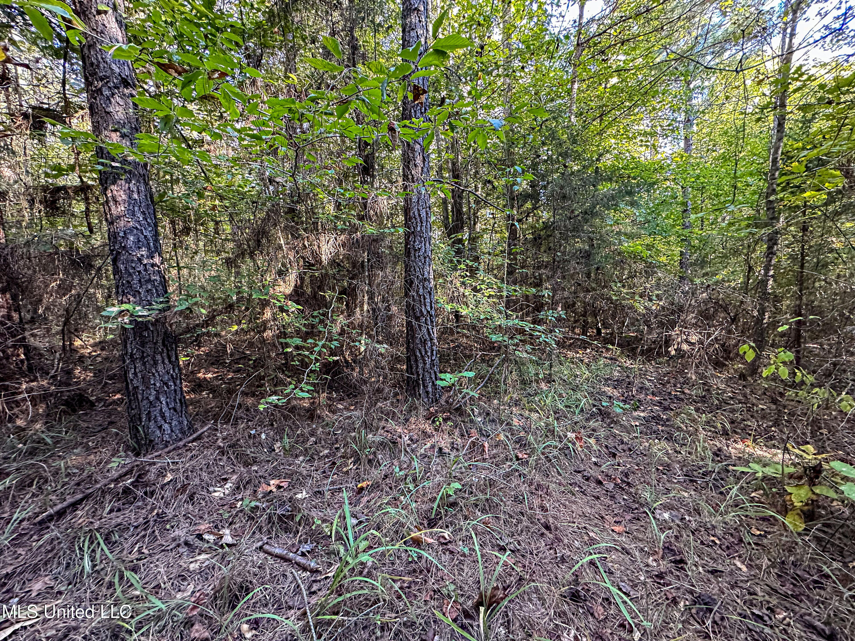 01 Mississippi 331 Property Photo 77
