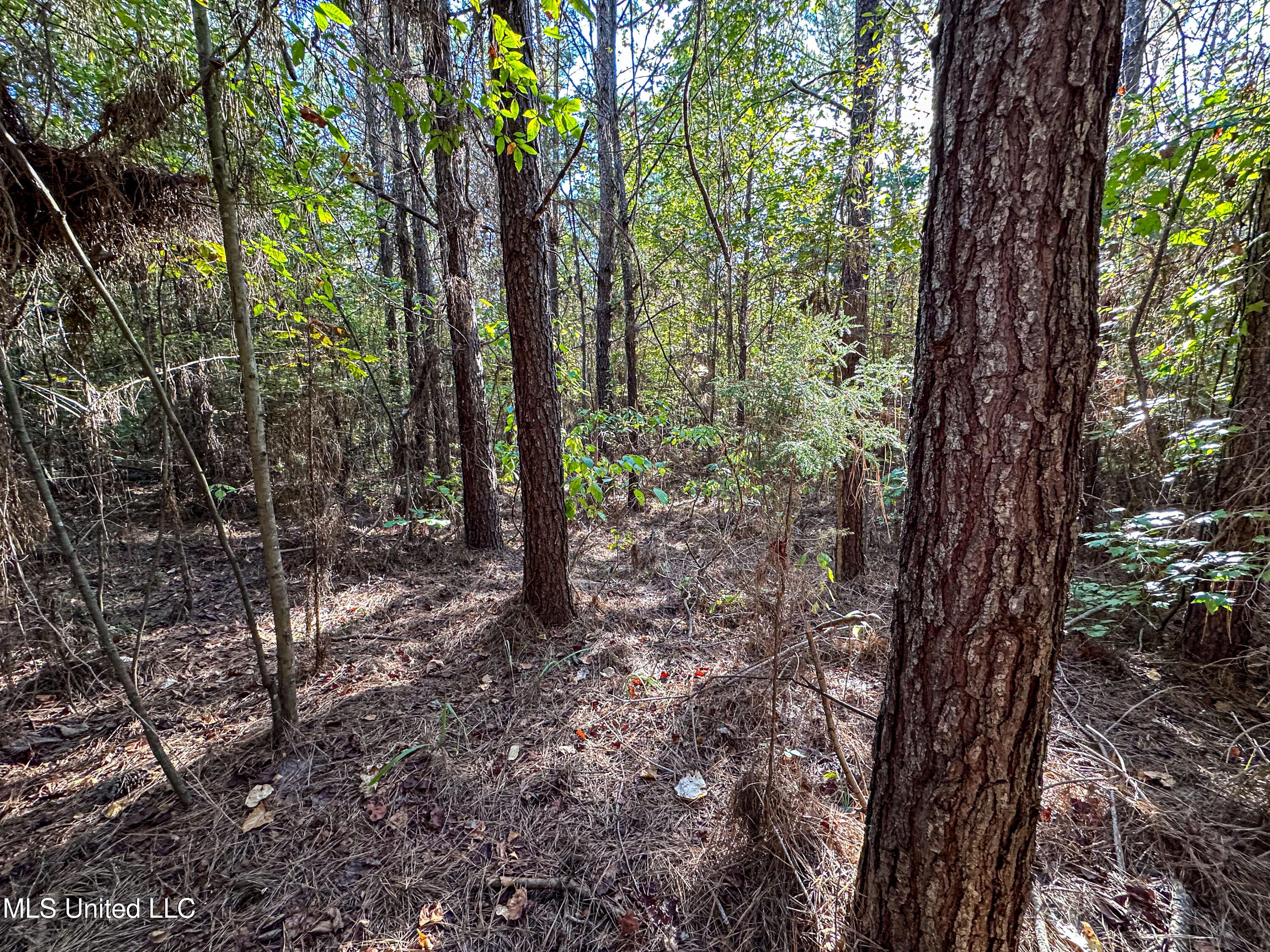 01 Mississippi 331 Property Photo 78