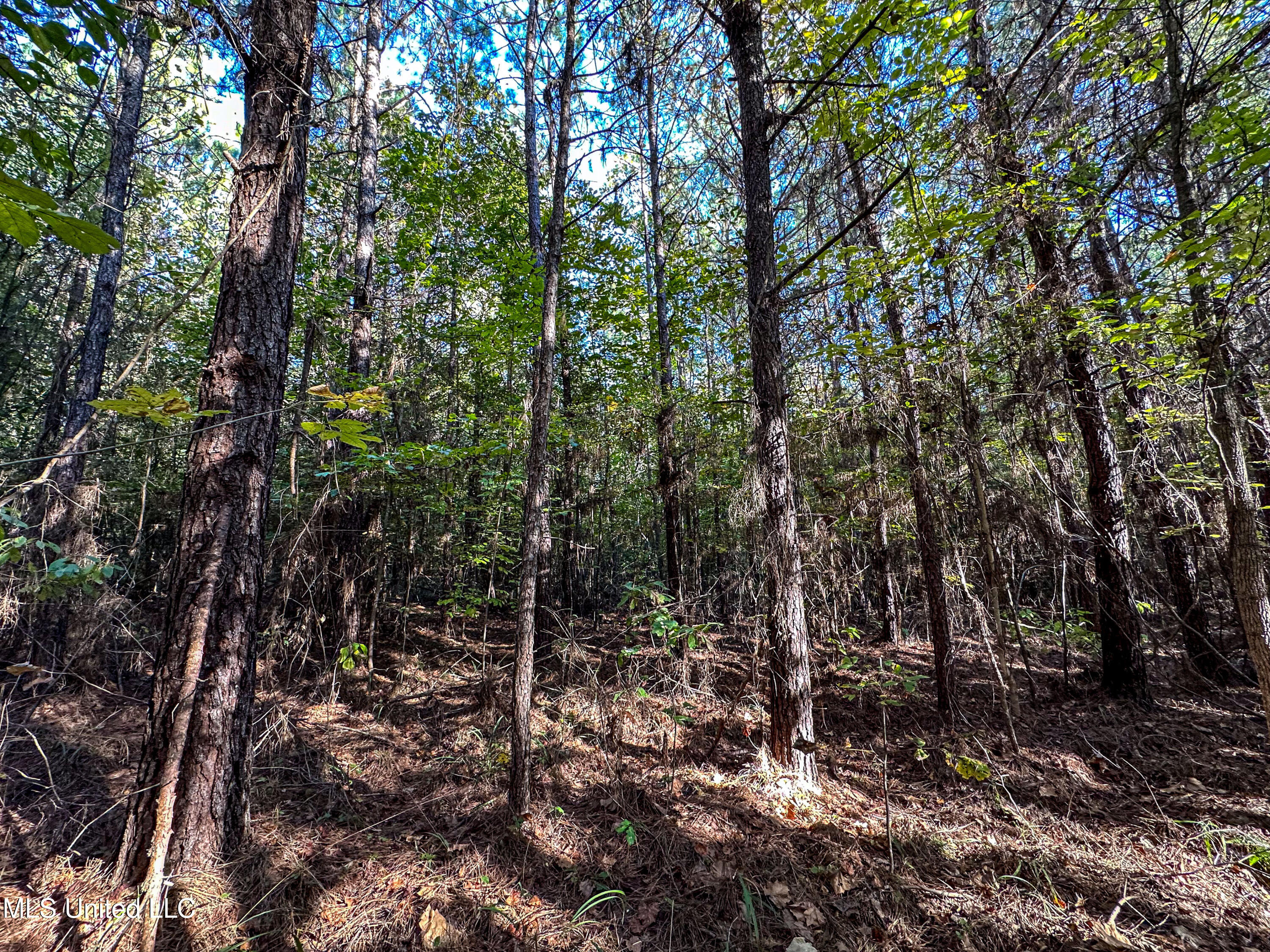 01 Mississippi 331 Property Photo 80