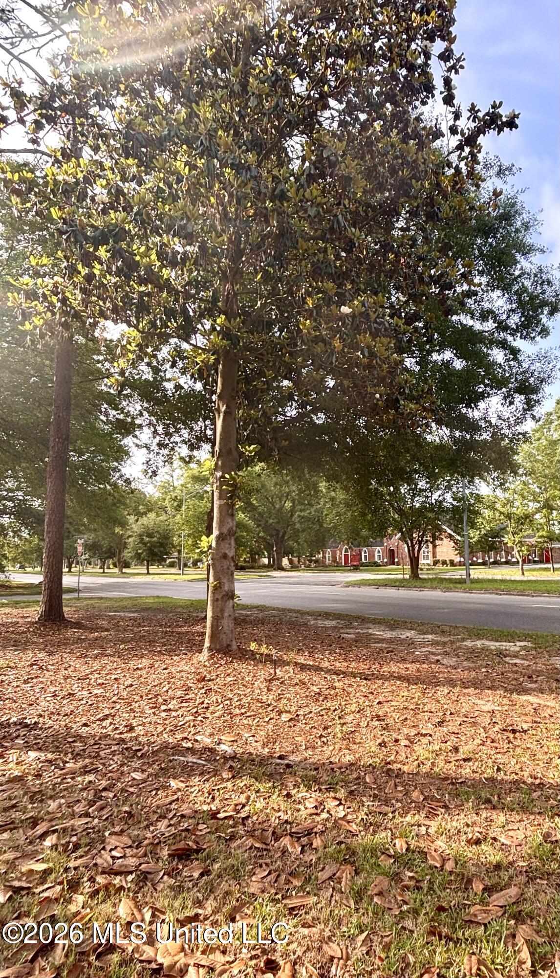 1500 Goodyear Boulevard Property Photo 82