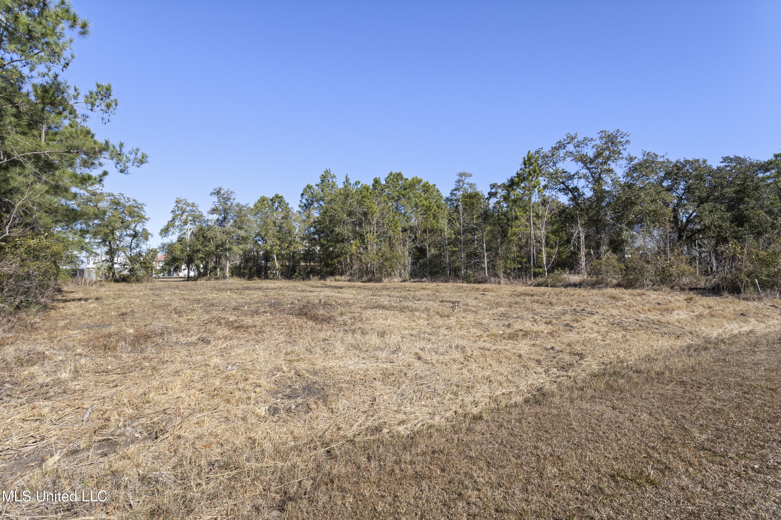0 Forrest Street Property Photo 1