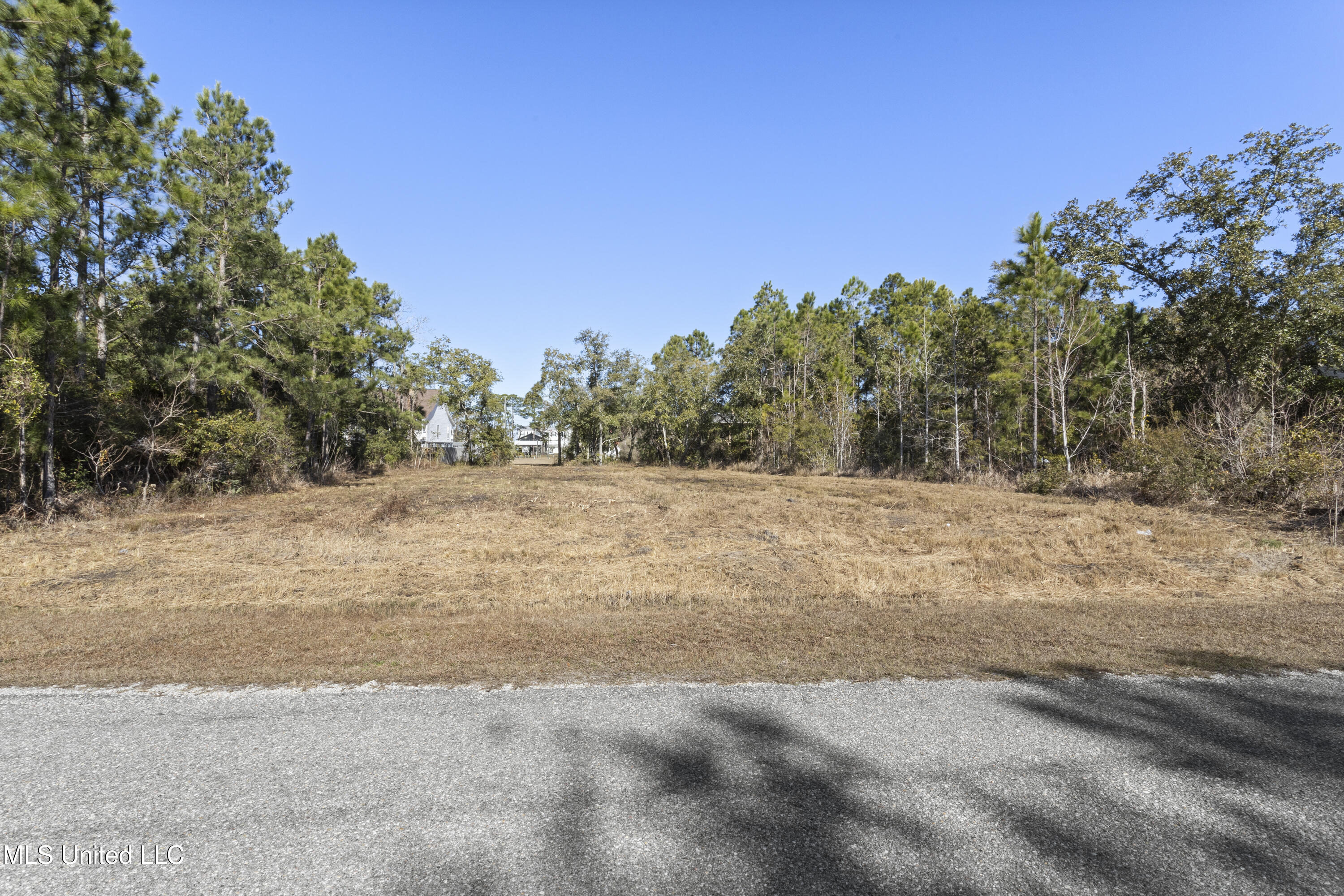 0 Forrest Street Property Photo 19