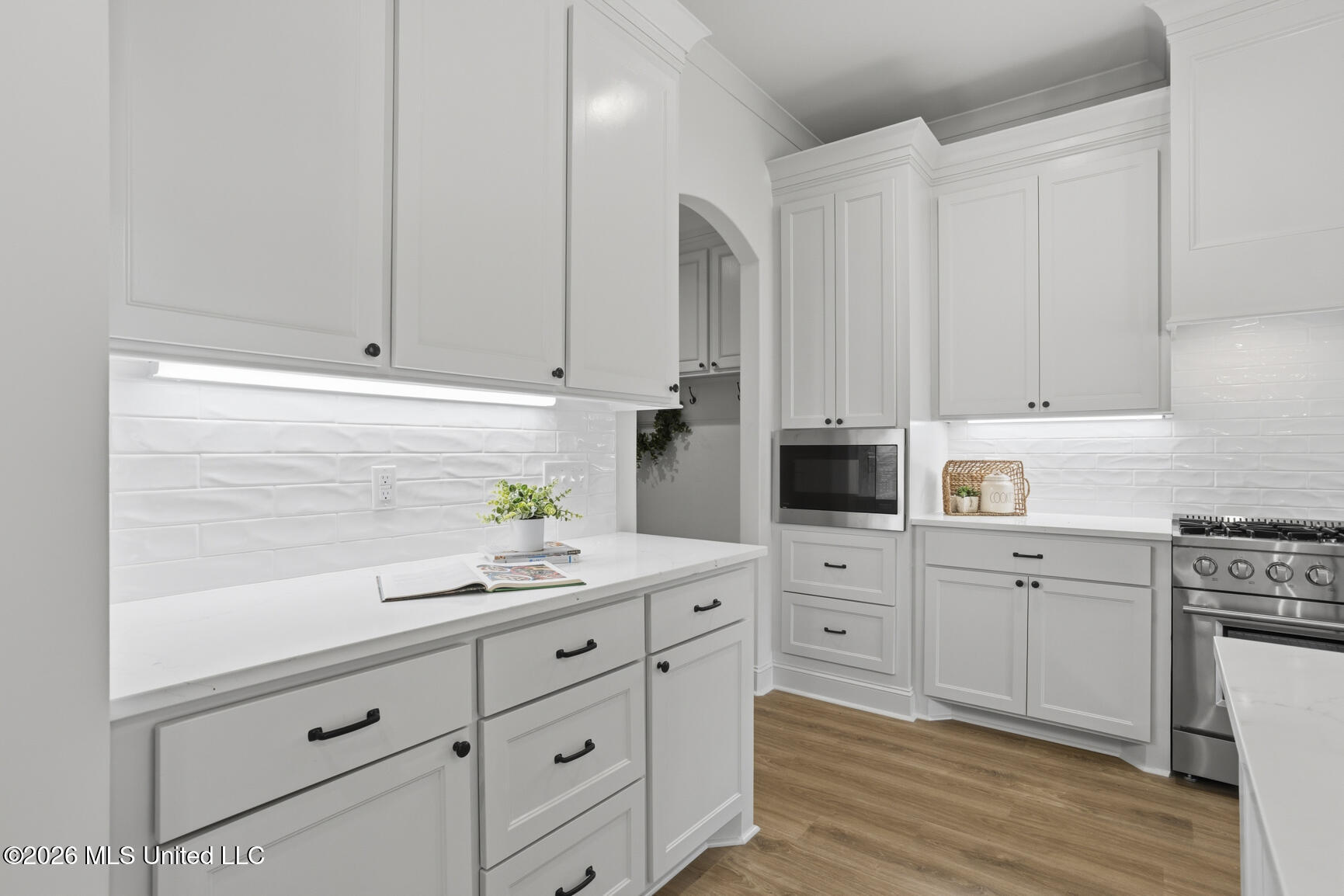 808 Albany Street Property Photo 14
