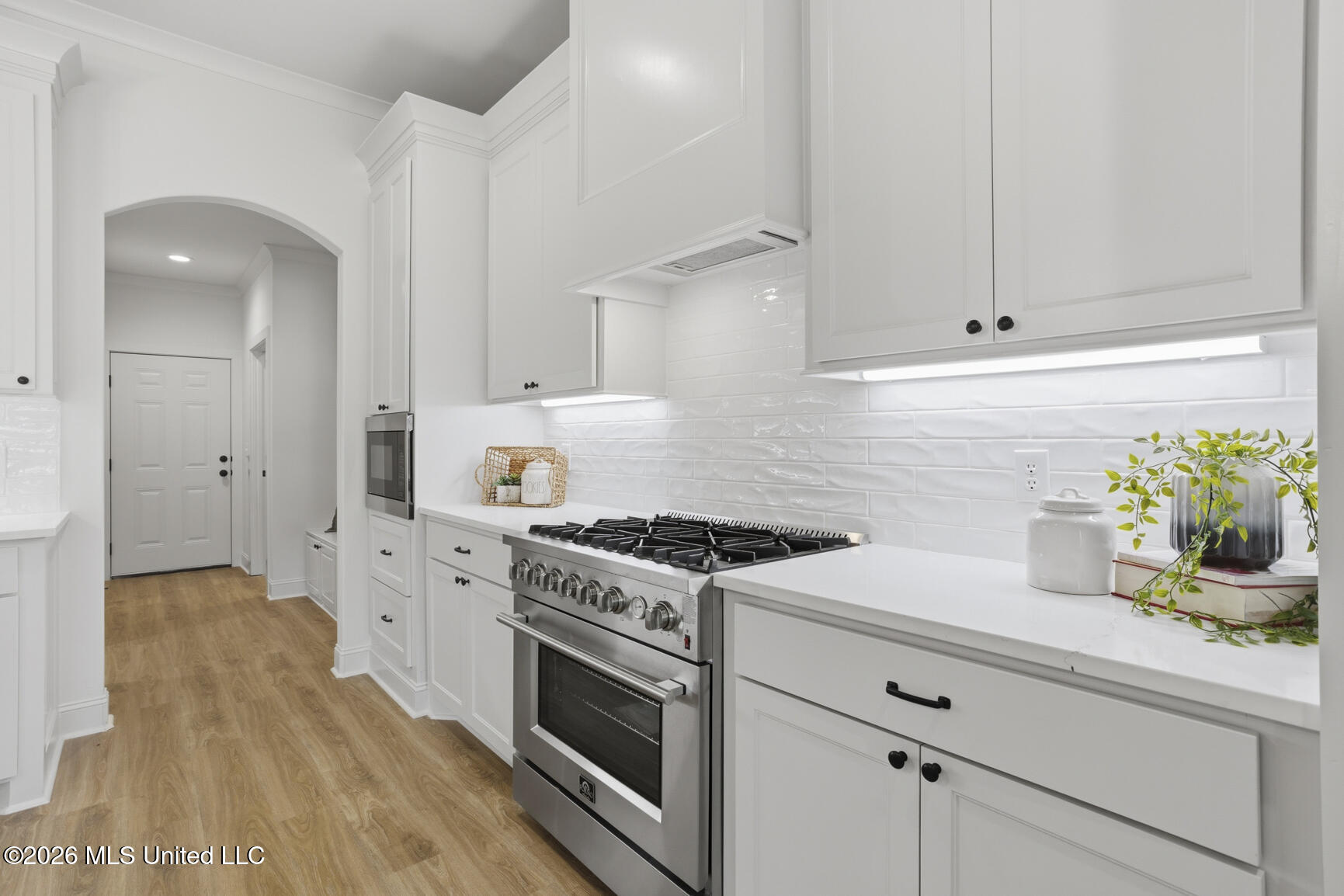 808 Albany Street Property Photo 15