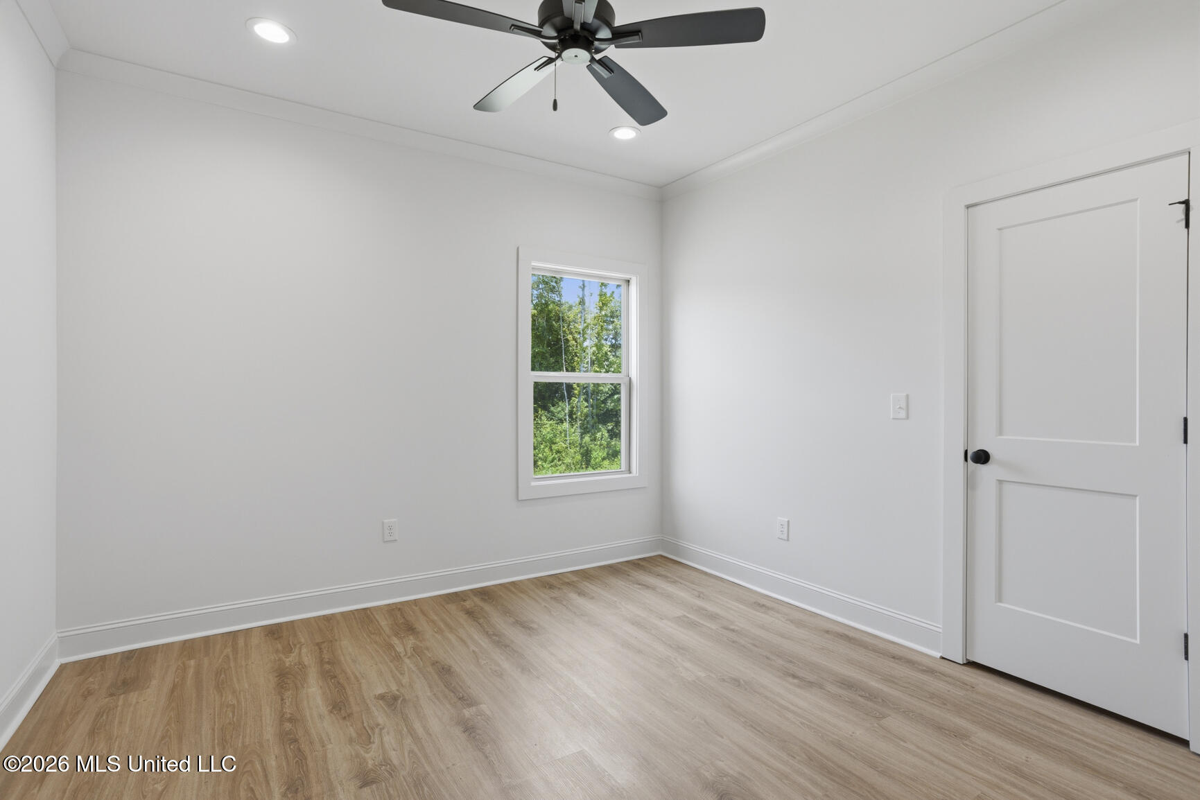 808 Albany Street Property Photo 26