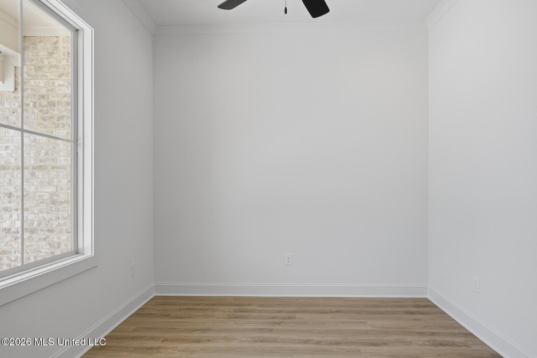 808 Albany Street Property Photo 28