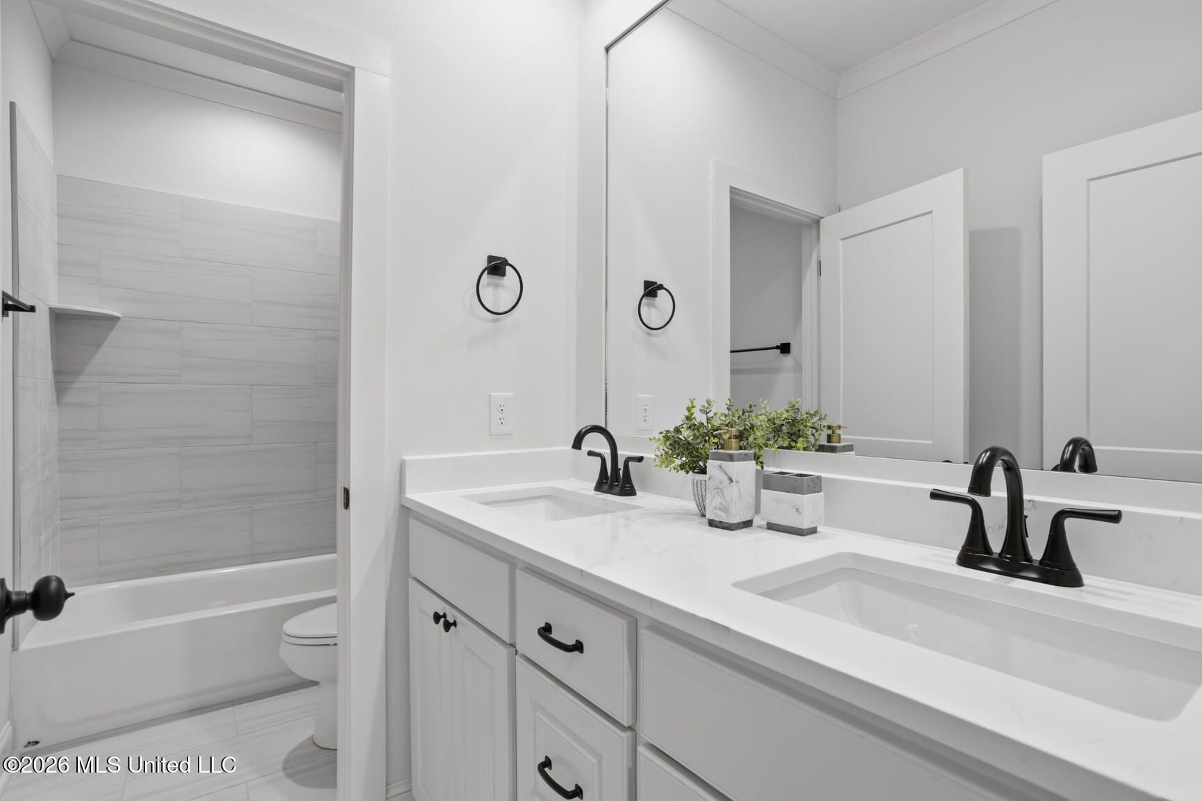 808 Albany Street Property Photo 31