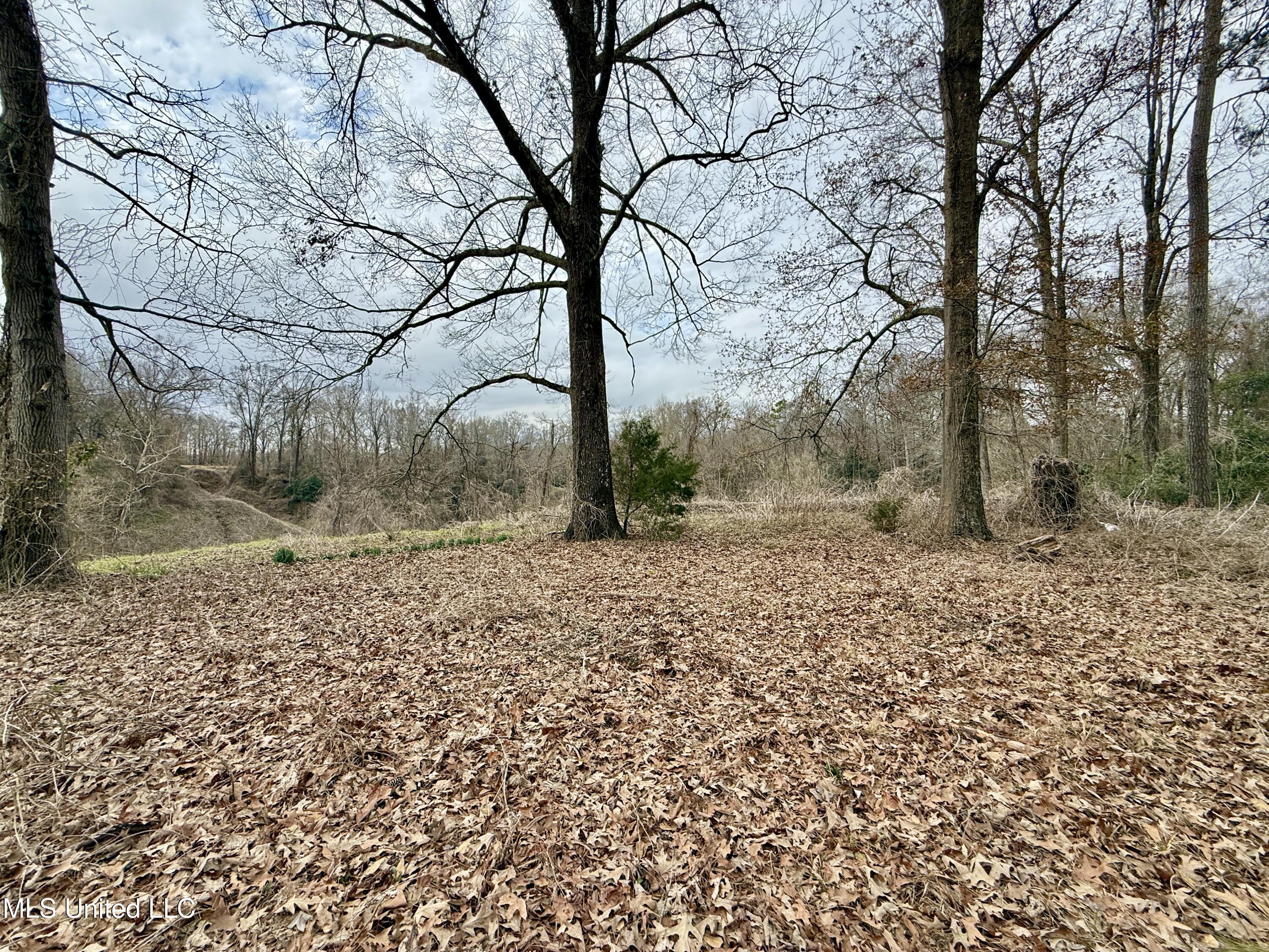 21 Southview Drive Property Photo 9