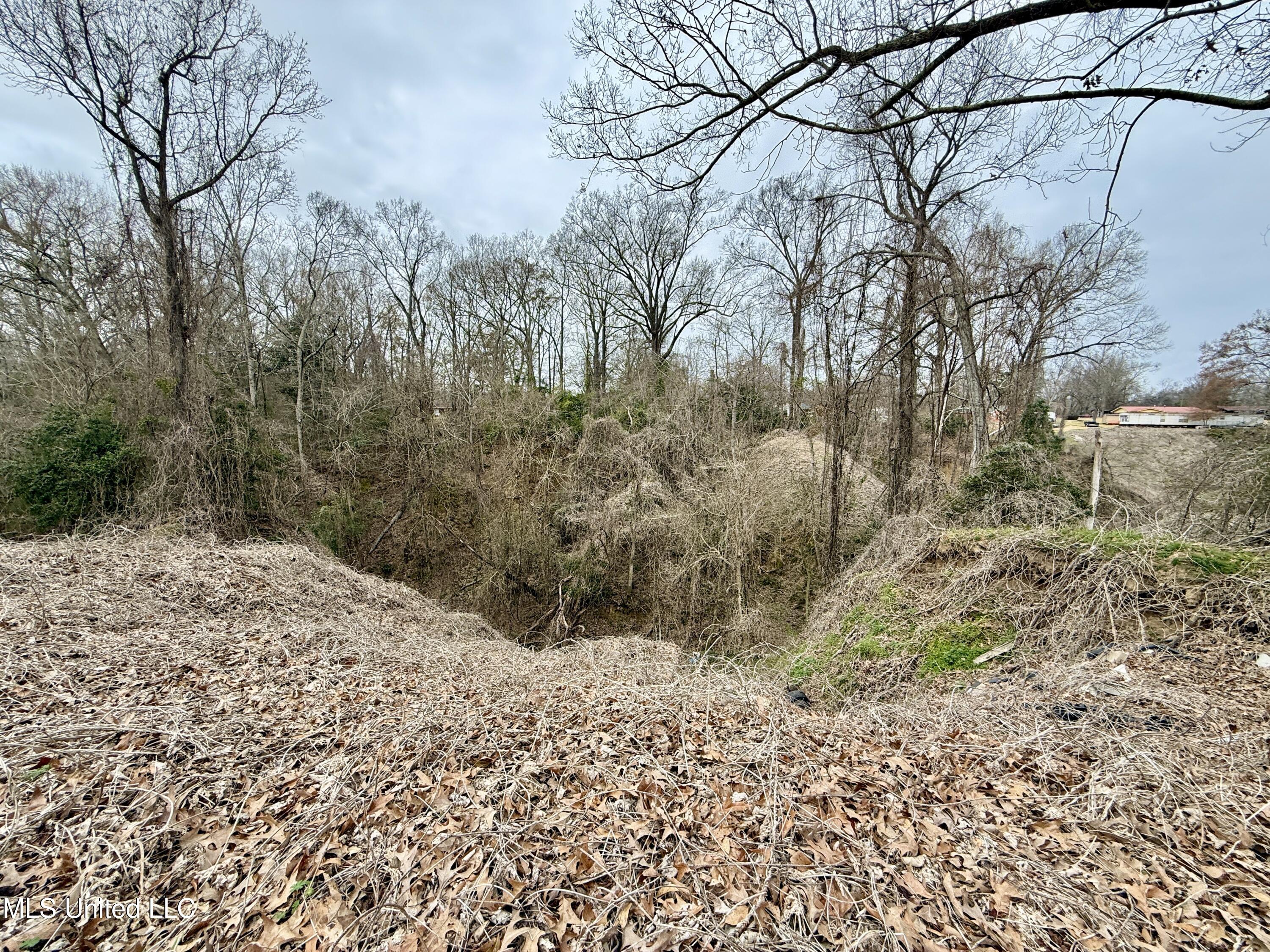 21 Southview Drive Property Photo 13