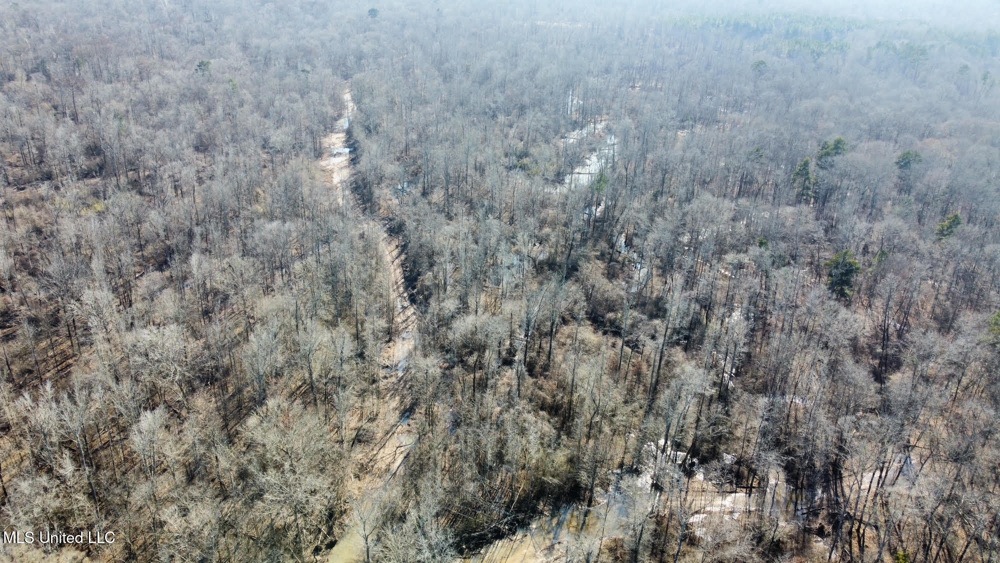 1 Evans Road Property Photo 111